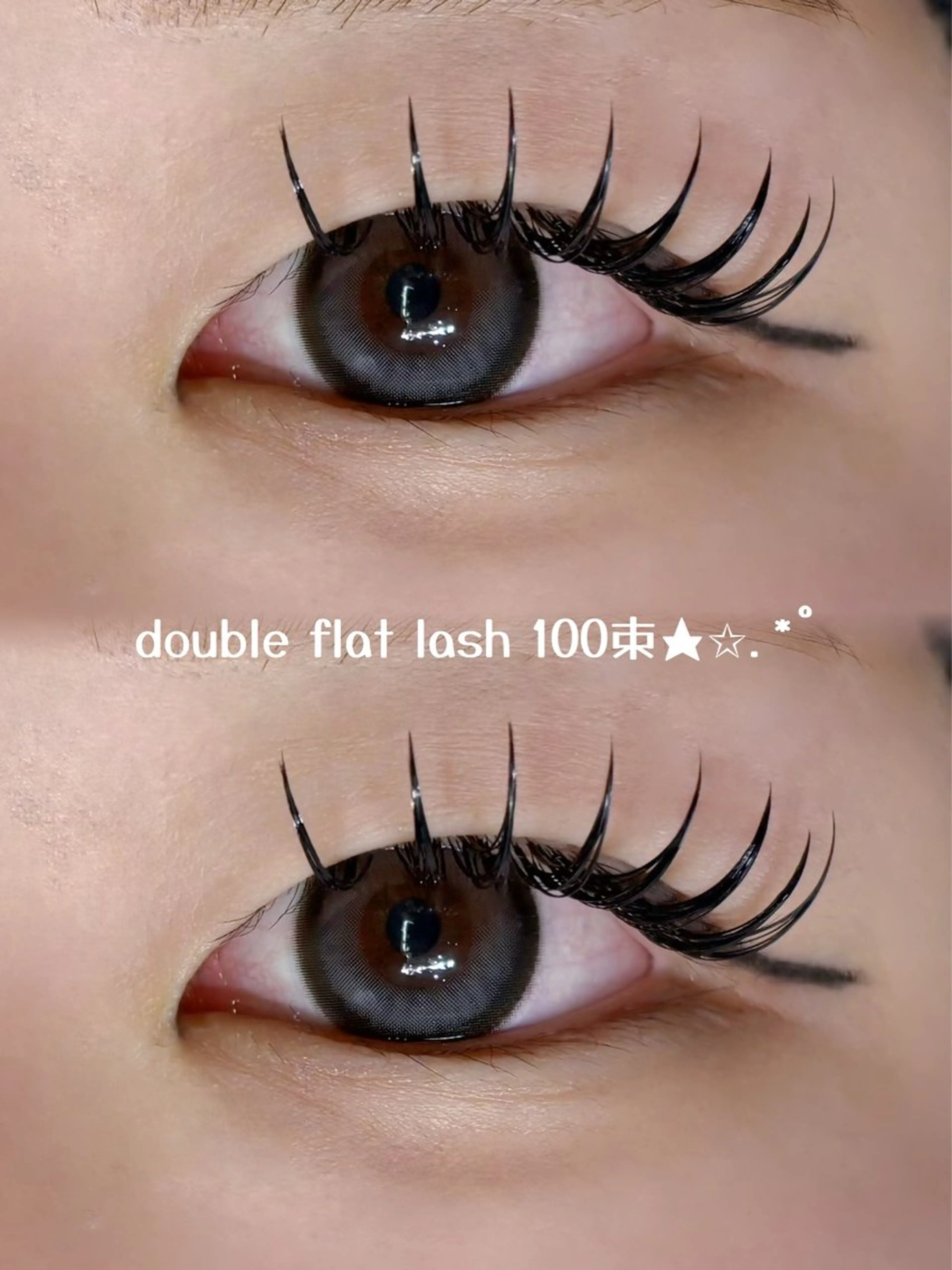 ダブルフラットラッシュ100束🎀（コーティング付き）の写真