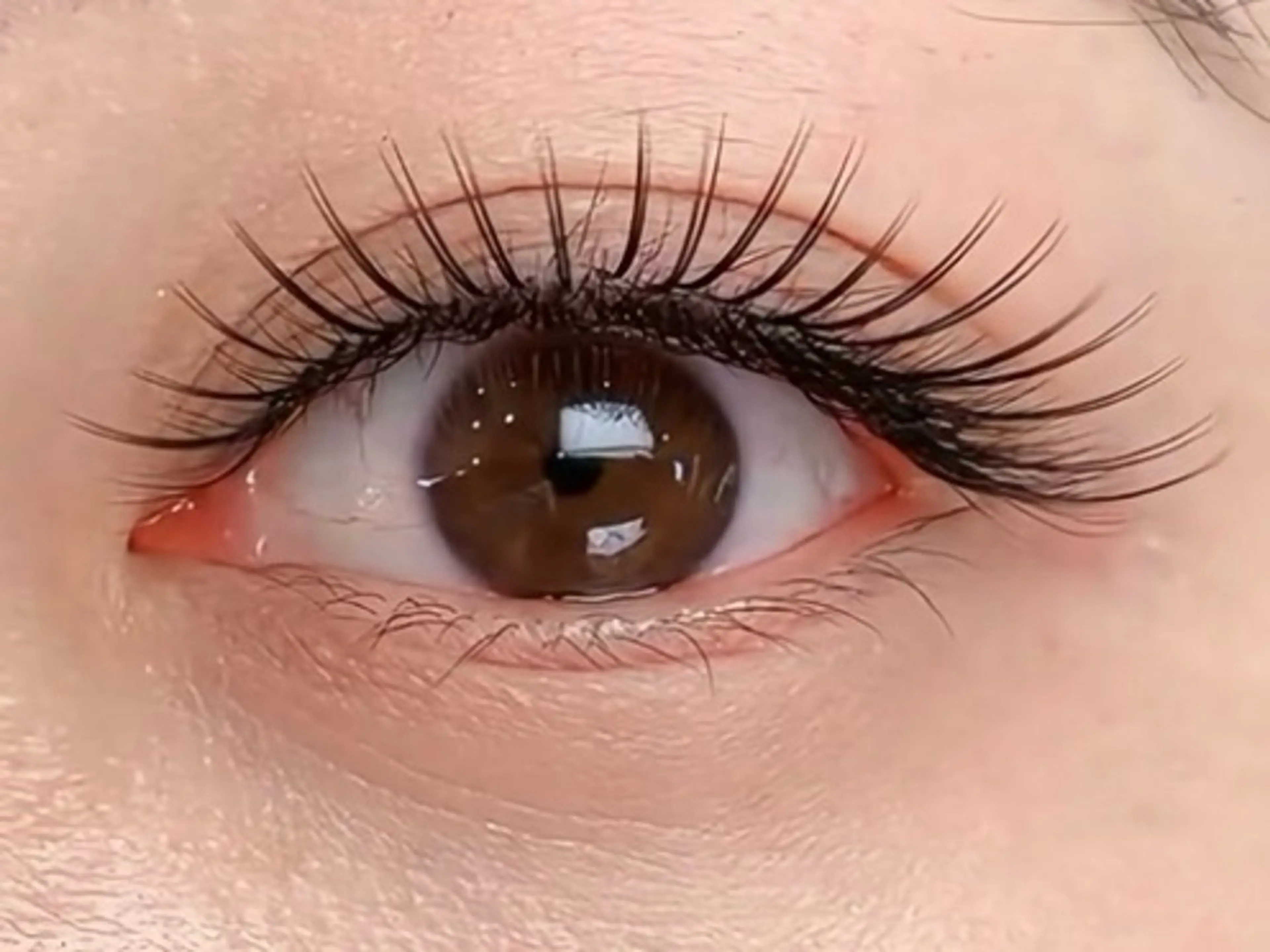 マツエク・マツパ MORIMAX nail&eyeのマツエク・マツパデザイン