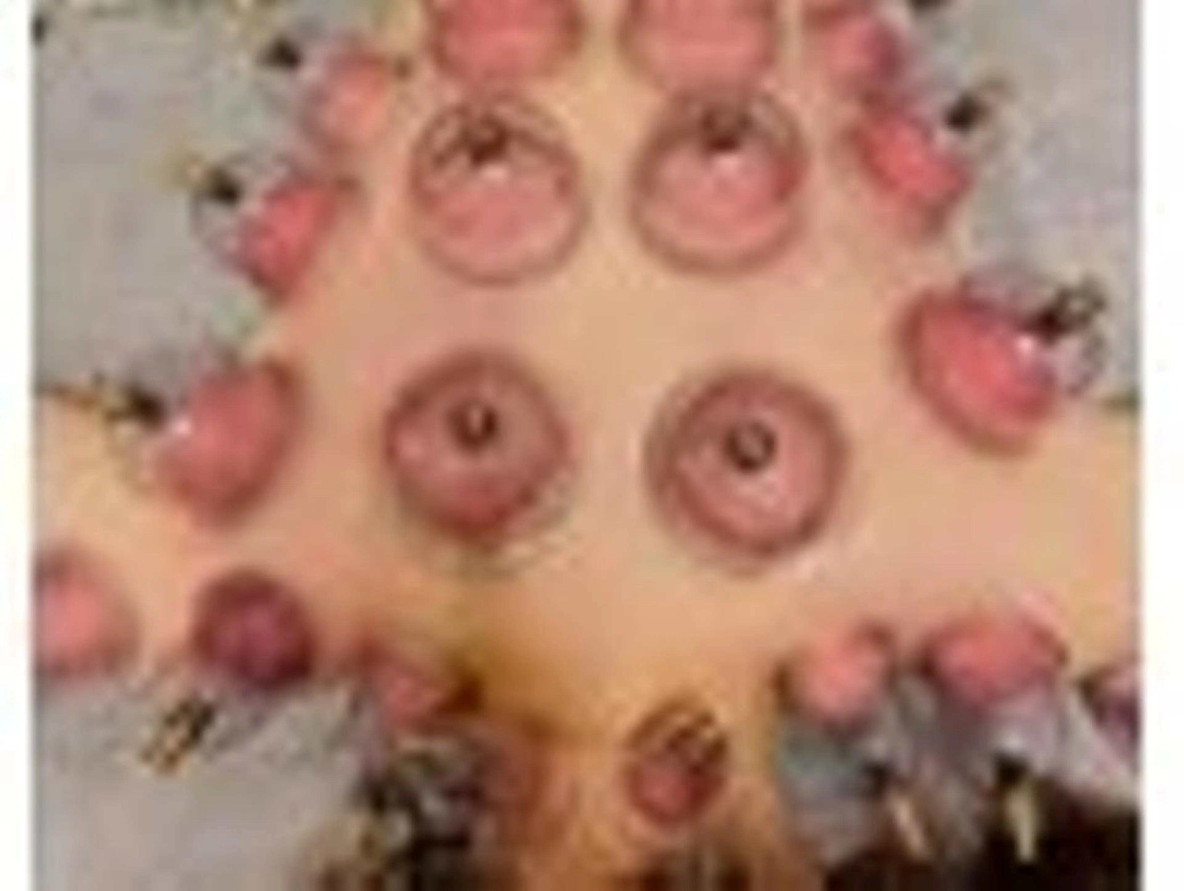 足裏40分の写真