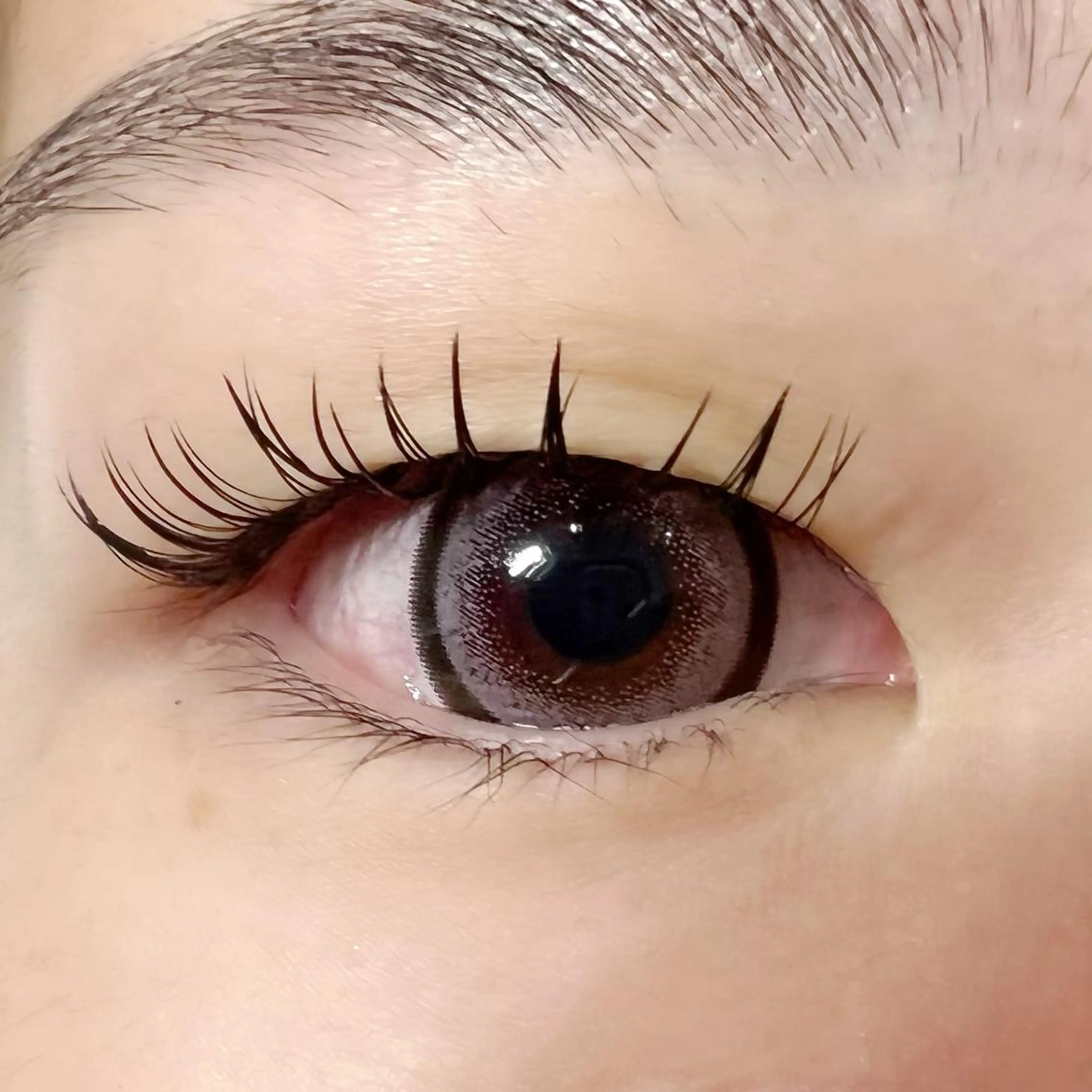 マツエク・マツパ 付け放題 フラットラッシュ Celeste Venus所属・🧸Celeste Venusのマツエク・マツパデザイン