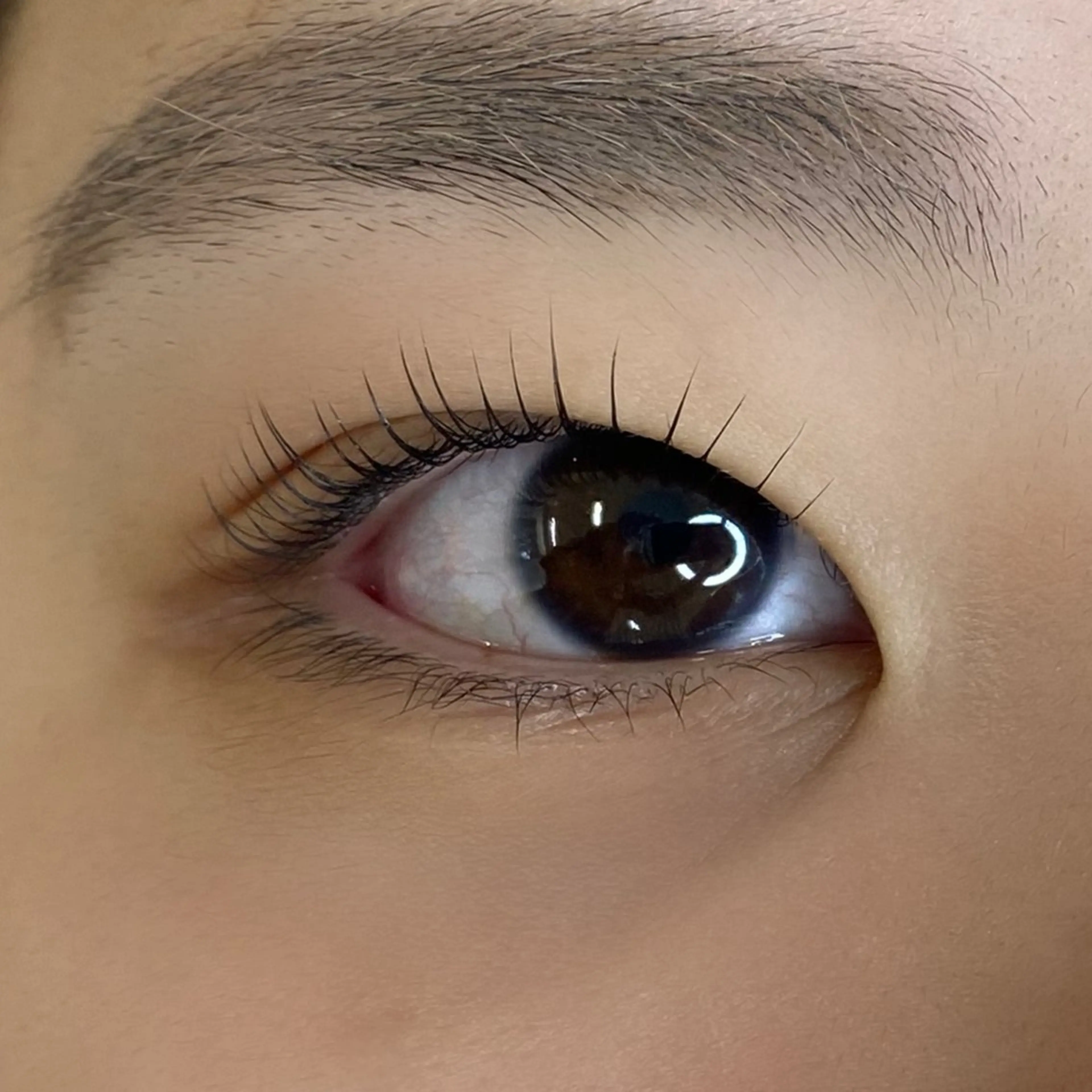 マツエク・マツパ まつげパーマ 一重×まつ毛パーマ マツパ U too e's MANAE🌼の眉毛・アイブロウイメージ