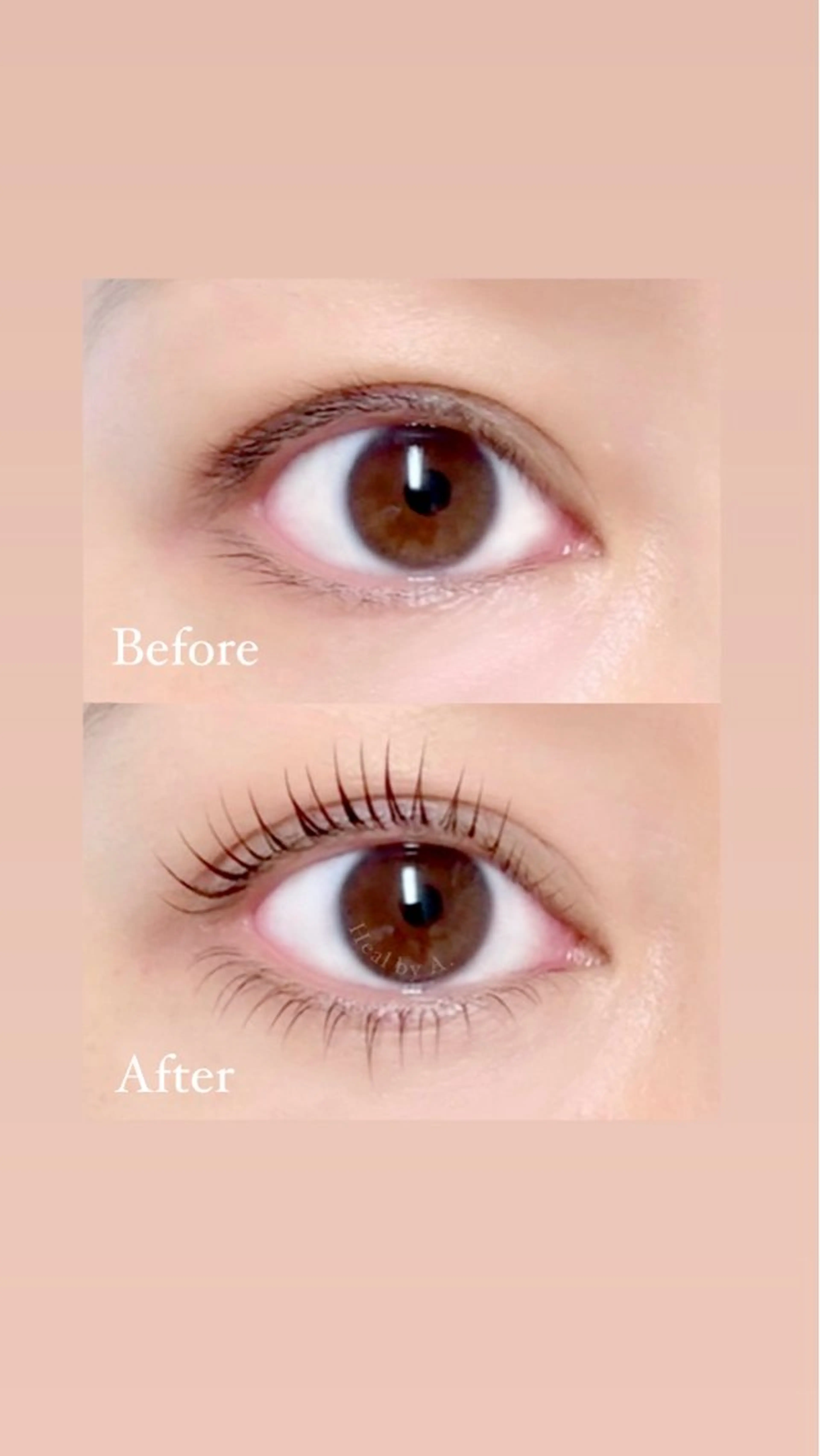 マツエク・マツパ マツパ Heal by A.所属・Heal by A.のマツエク・マツパデザイン