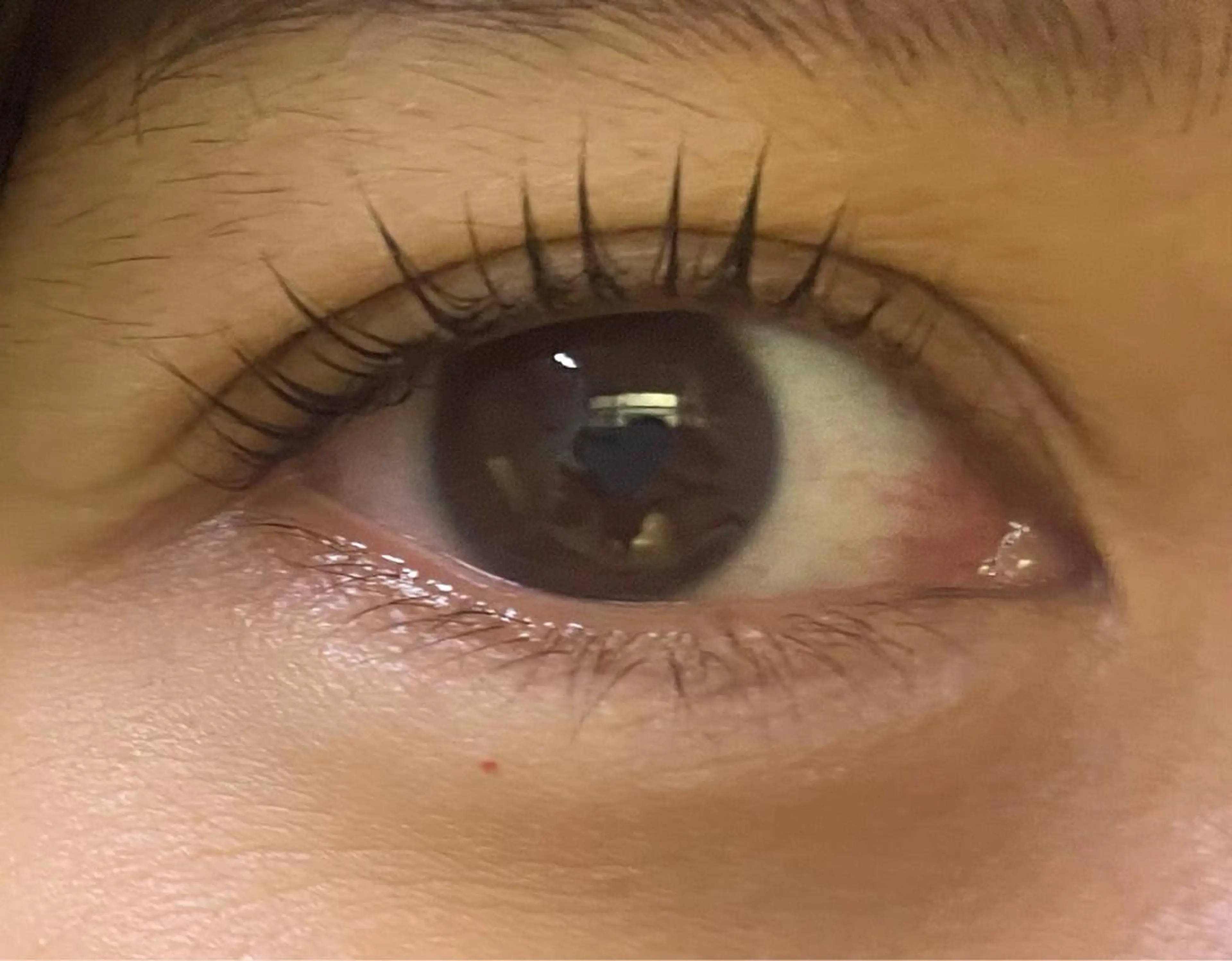 マツエク・マツパ cils·シル アイラッシュのマツエク・マツパデザイン