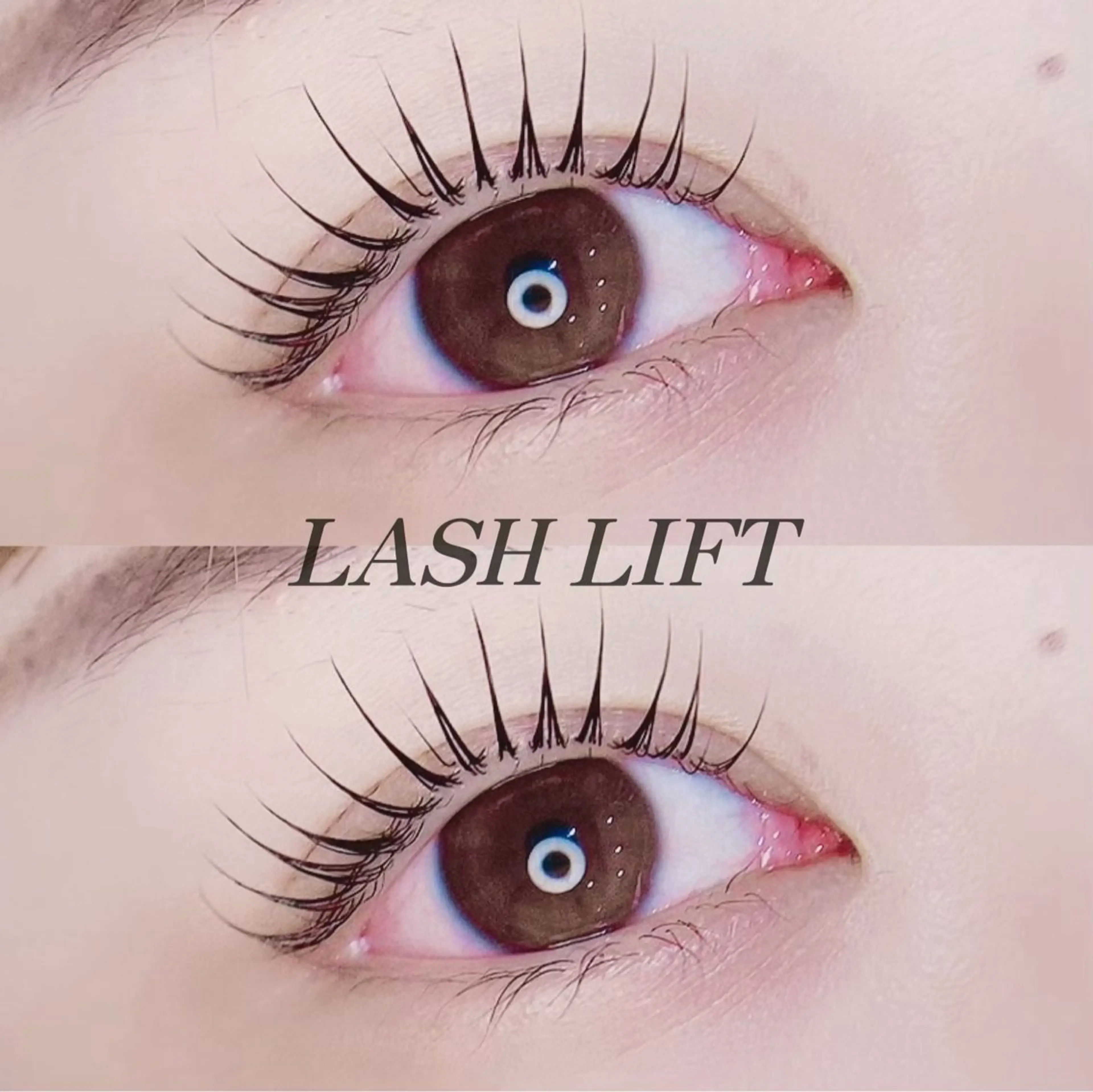 🤍ご新規様限定🤍似合わせまつ毛パーマ★トリートメント仕上げ付の写真