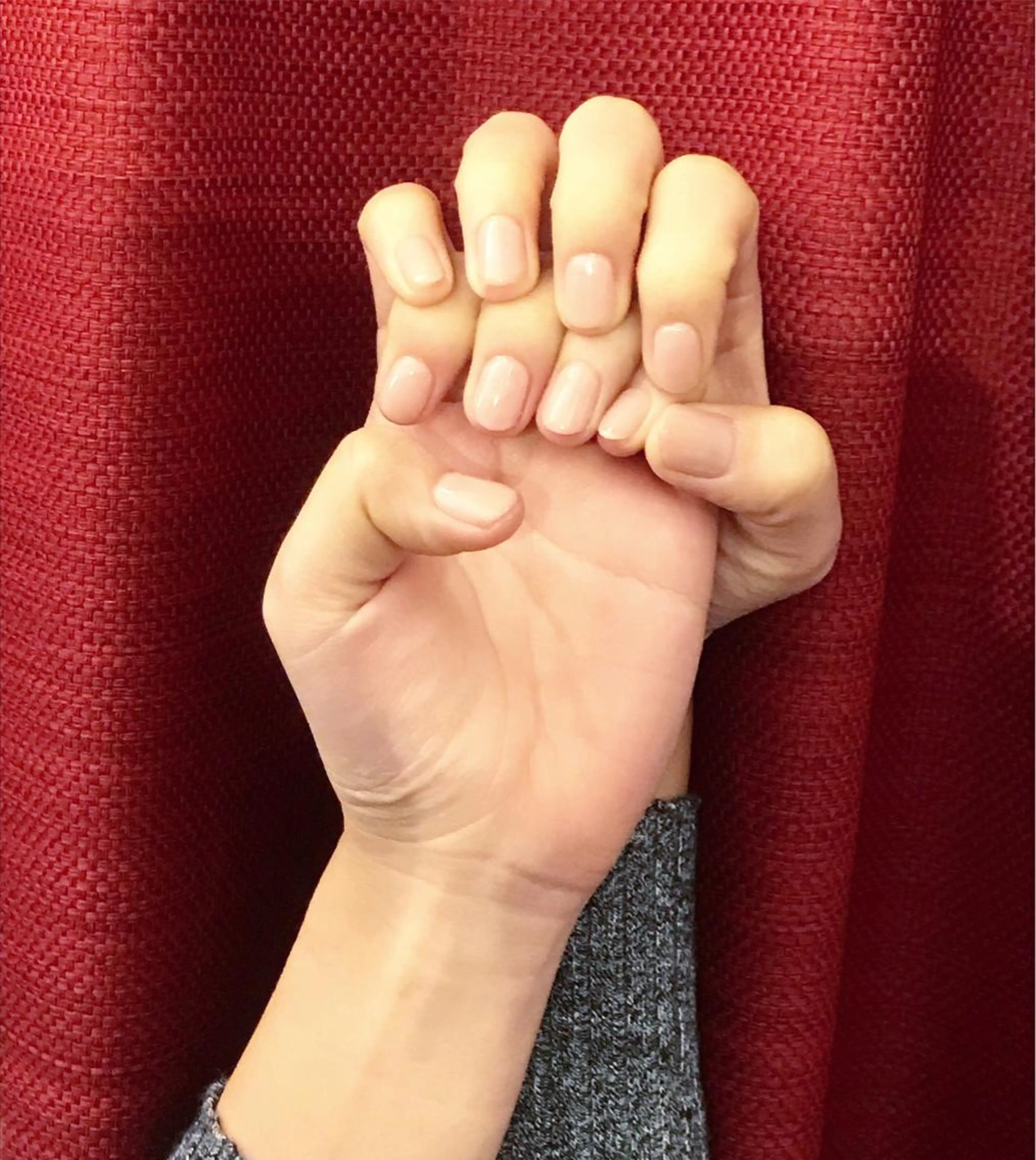 自爪風 / オフ無しの写真