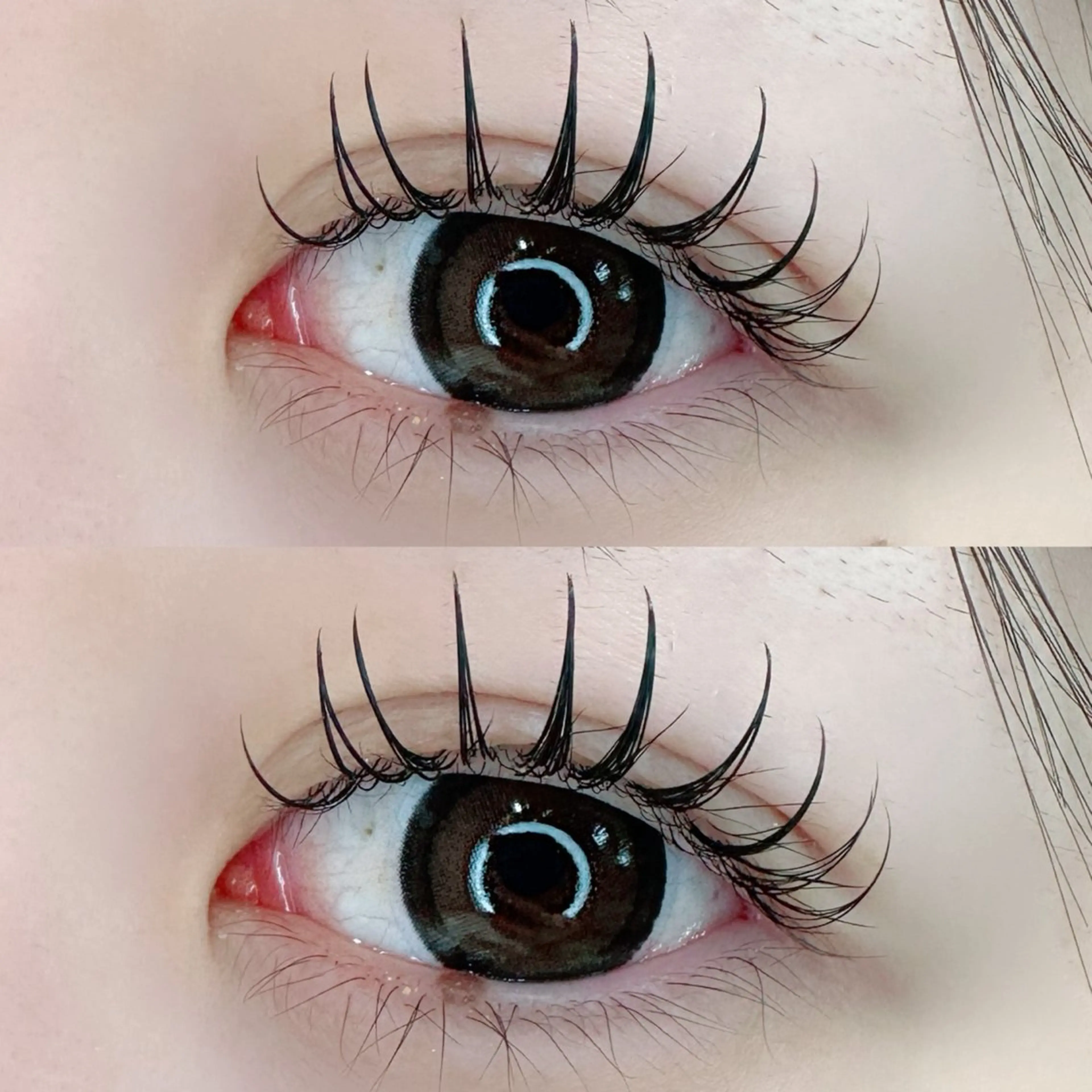 マツエク・マツパ アップワードラッシュ Le LUXE eyelashのマツエク・マツパデザイン