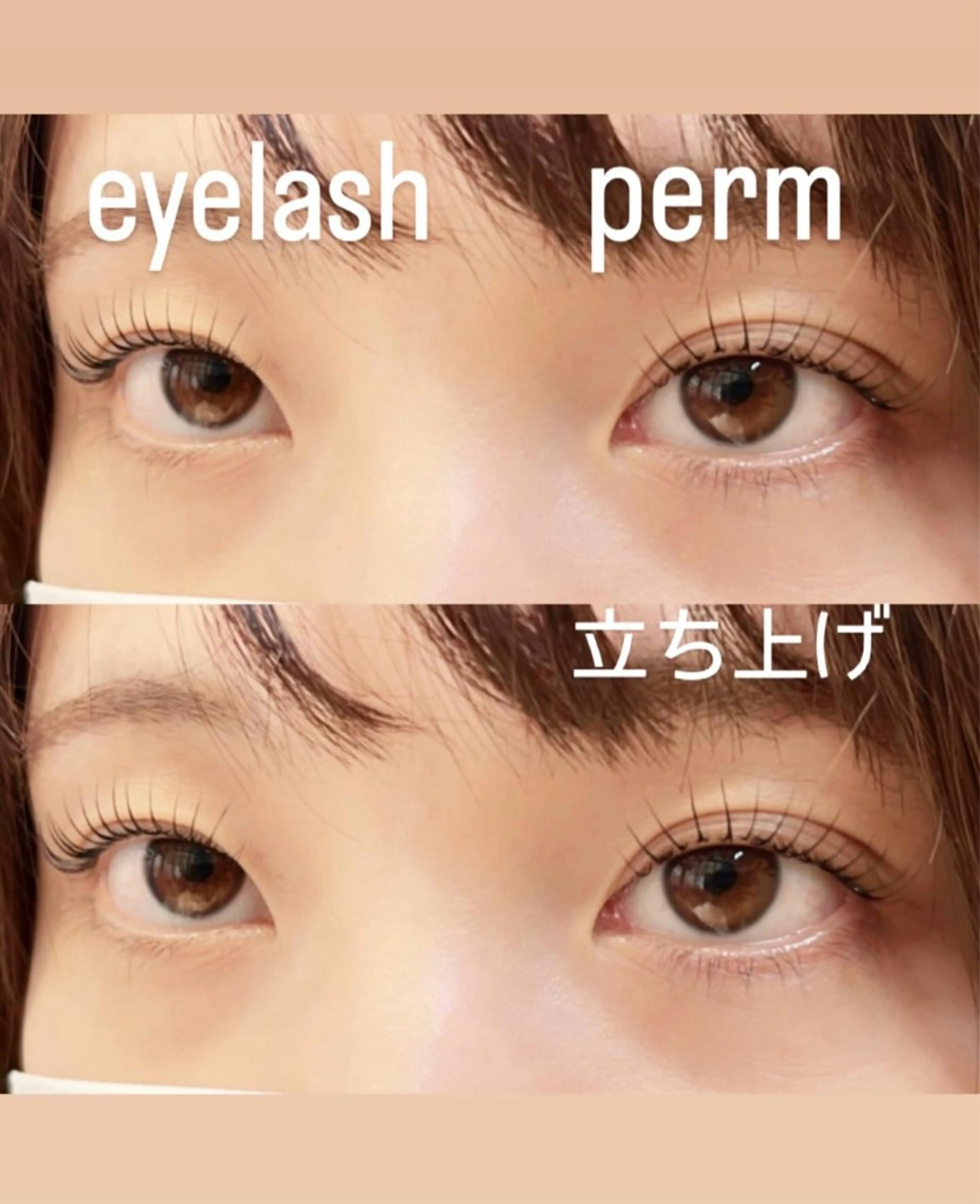 マツエク・マツパ 一重×まつ毛パーマ マツパ GranCieux 水戸/まつパ🧡黒柳の眉毛・アイブロウイメージ