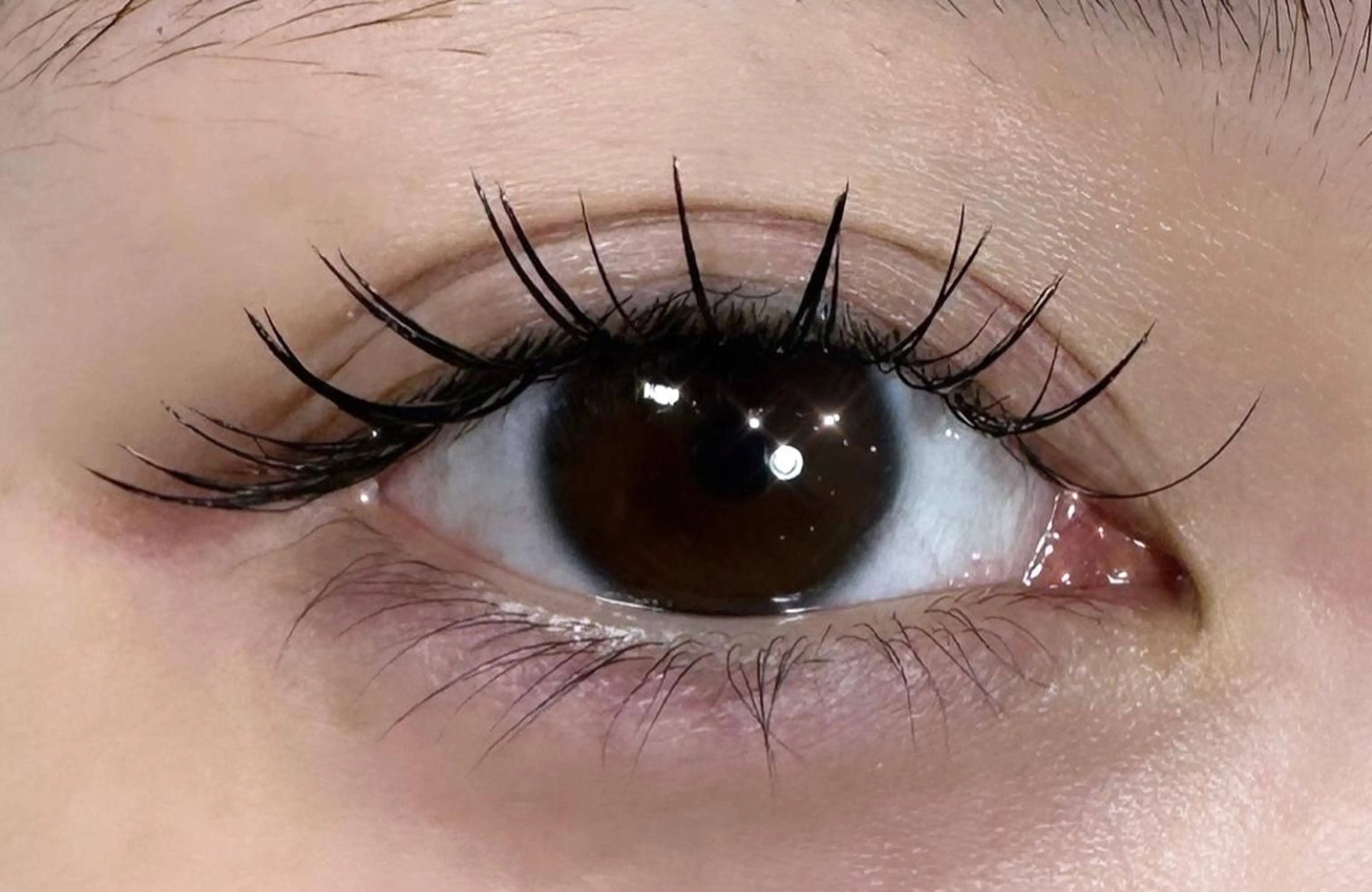 マツエク・マツパ フラットラッシュ マツエク 川畑🌻 アンジェリカ錦糸町のマツエク・マツパデザイン