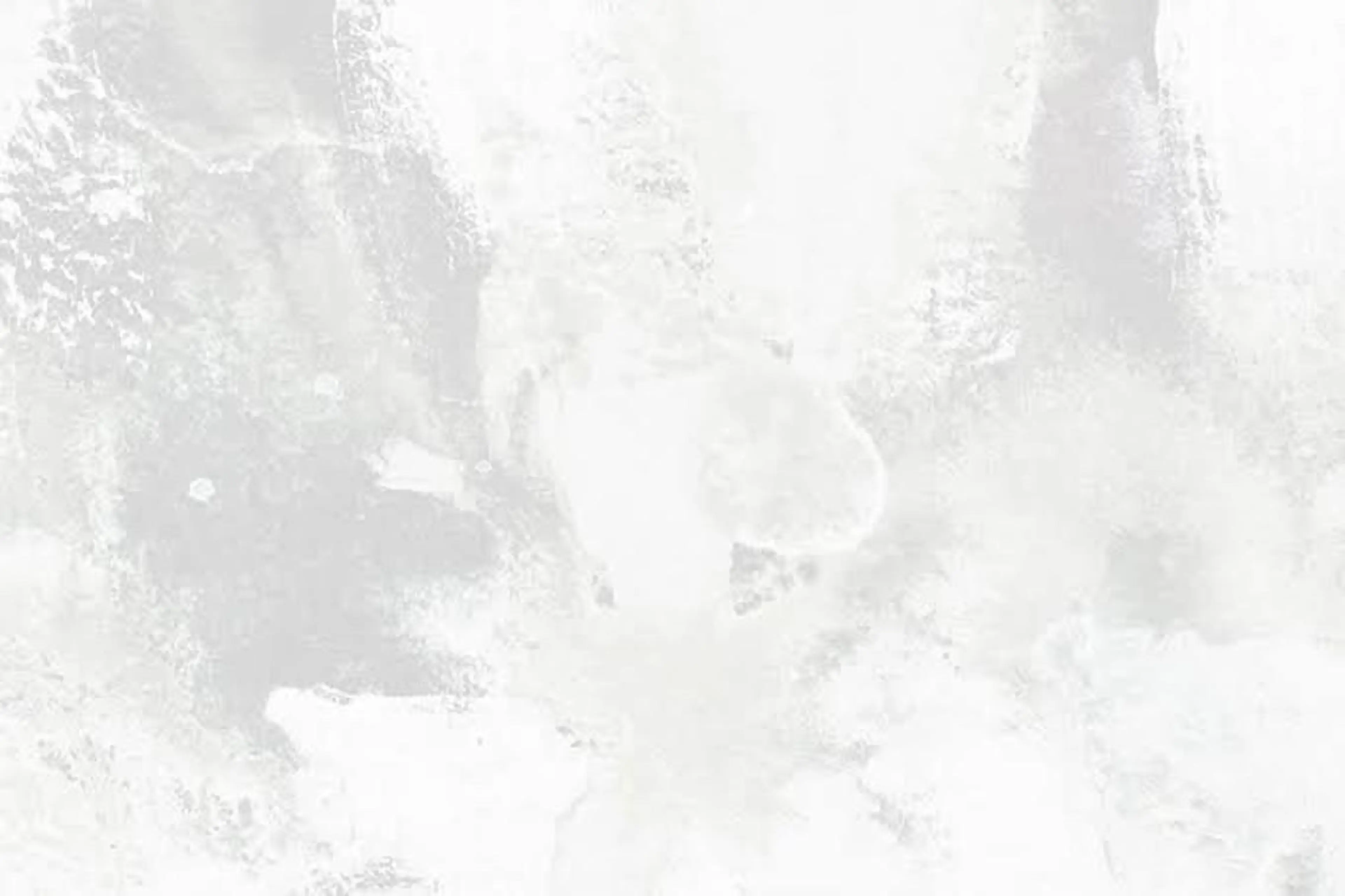 小顔カット/透明感 カラー/美髪矯正🫧のヘアスタイル