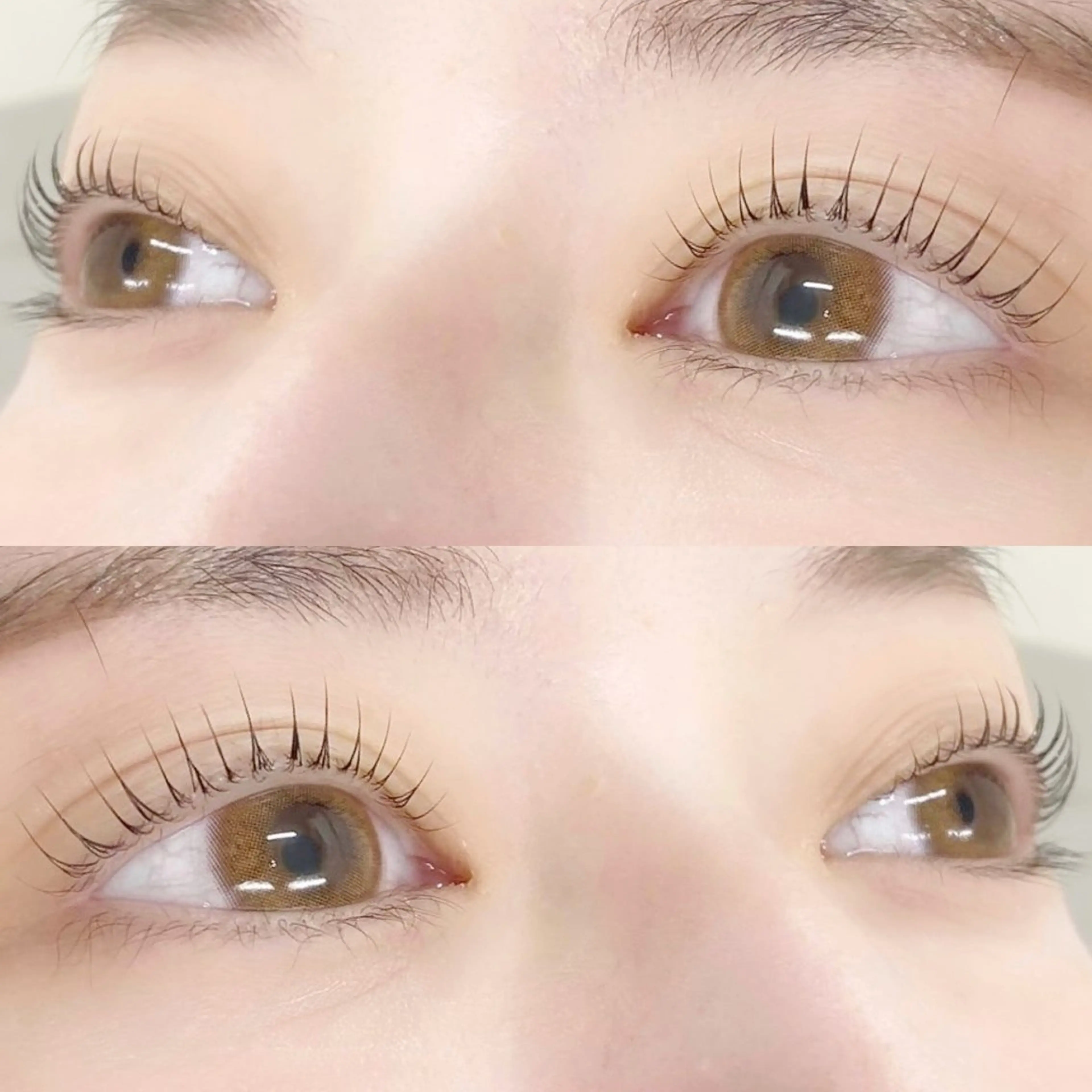 マツエク・マツパ 🌼Alba🌼 犬馬塲のマツエク・マツパデザイン