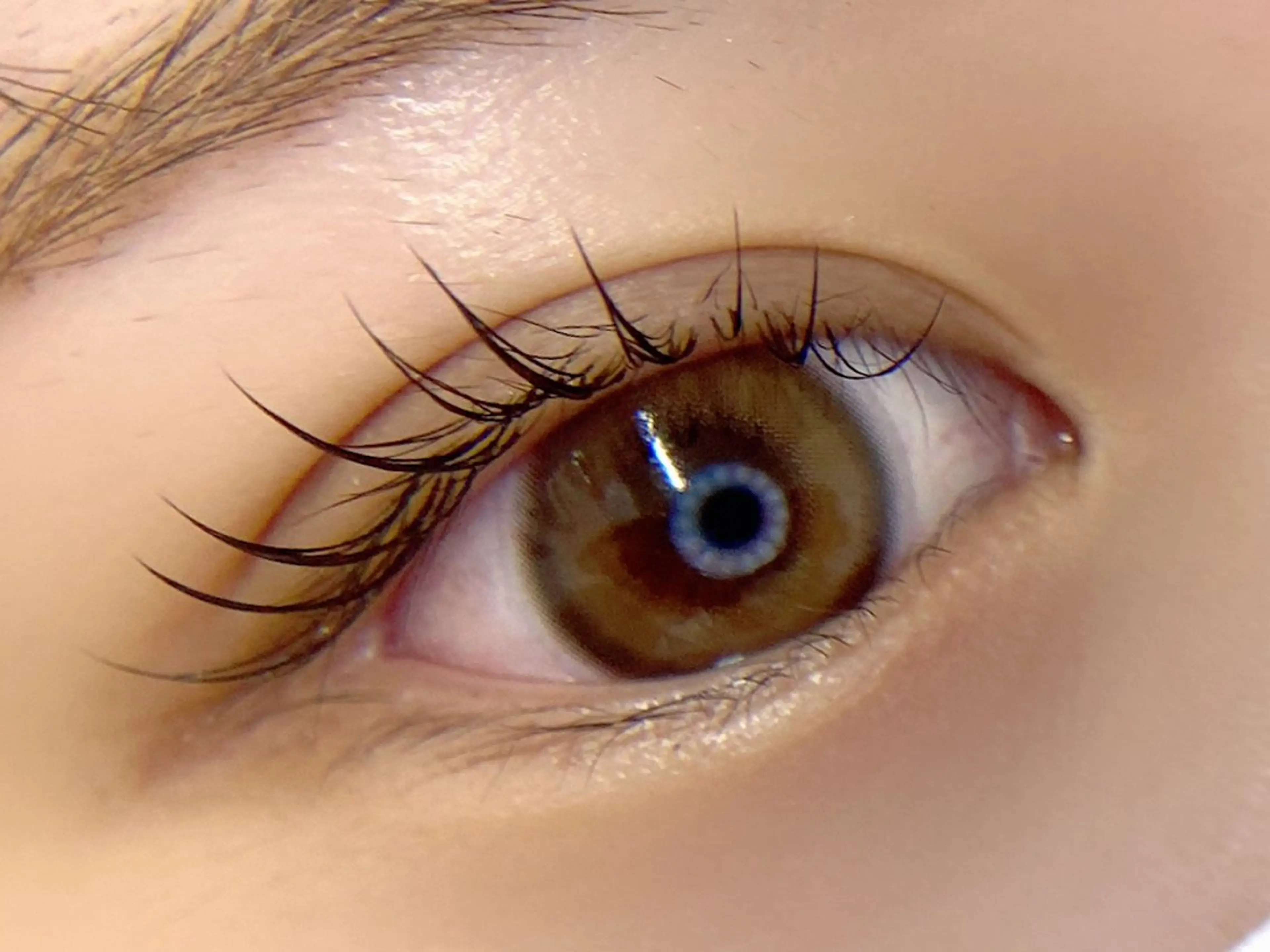 マツエク・マツパ tomte トムテのマツエク・マツパデザイン