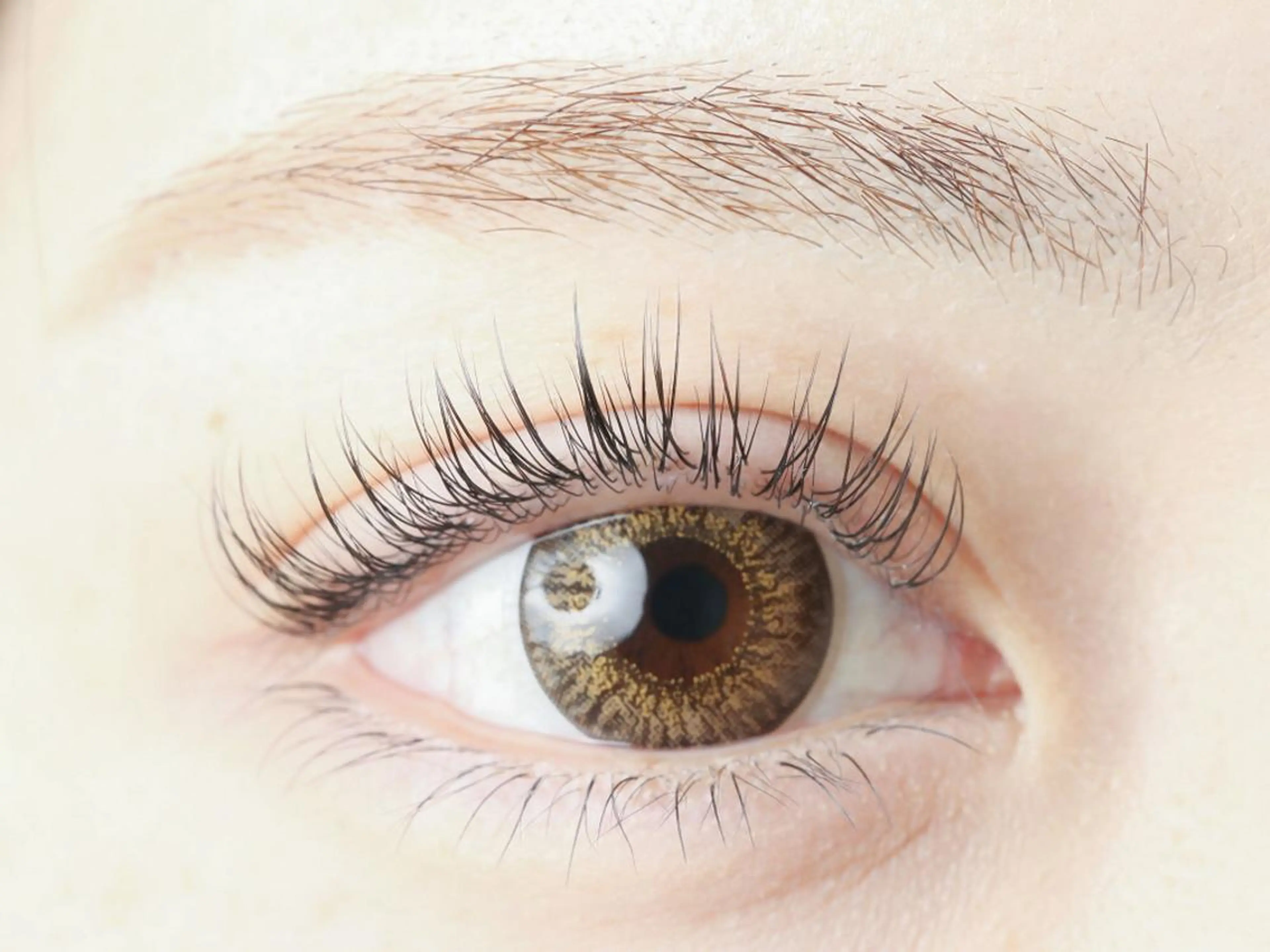 来店3回目迄特別価格✨抗菌セーブル90分つけ放題【オフ込】💗140本保証！別途＋¥1100でフラットラッシュに変更可の写真