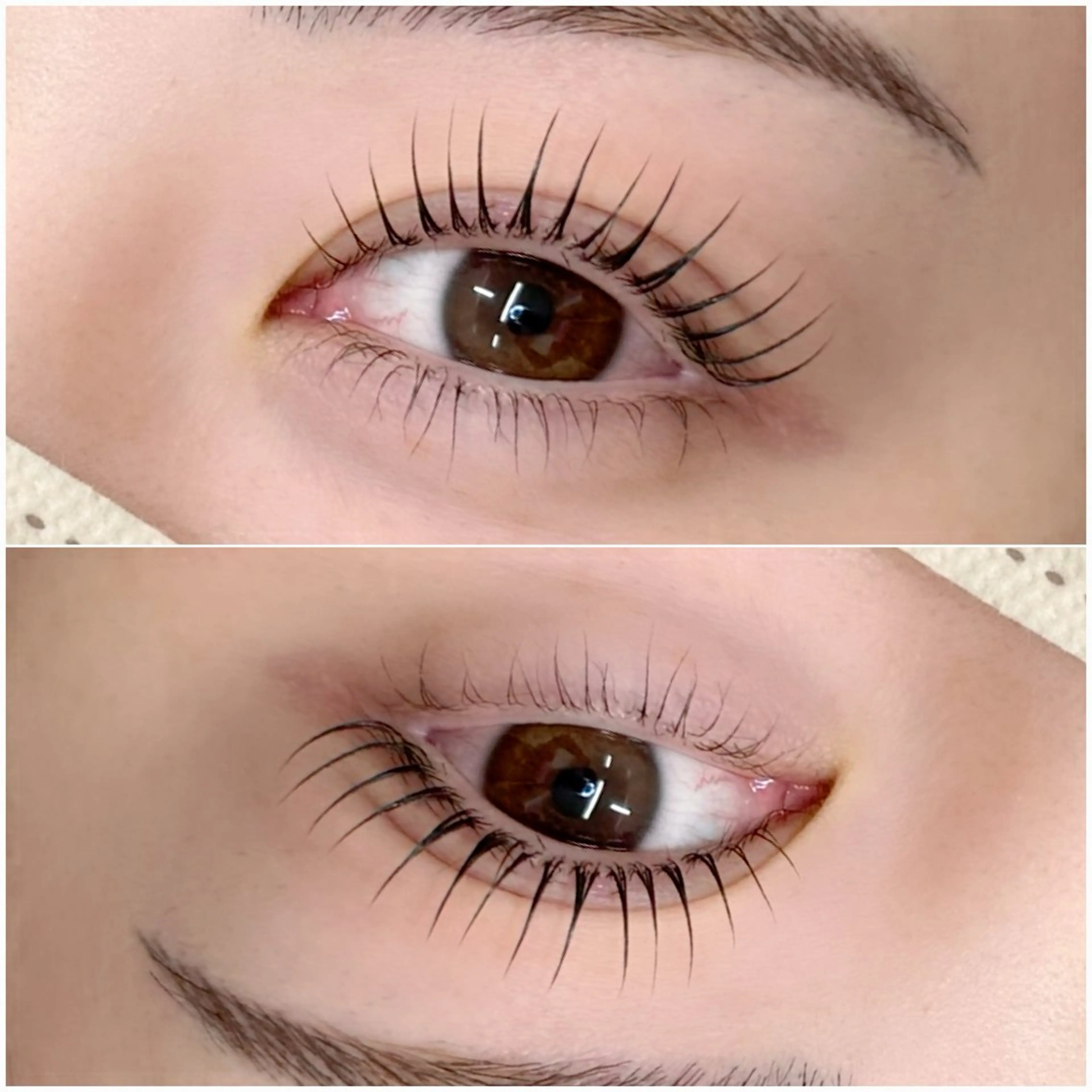 👑1月限定👑💎目ヂカラ爆誕【上下パーマ（コーティング付き）】💎¥11000→¥7000の写真