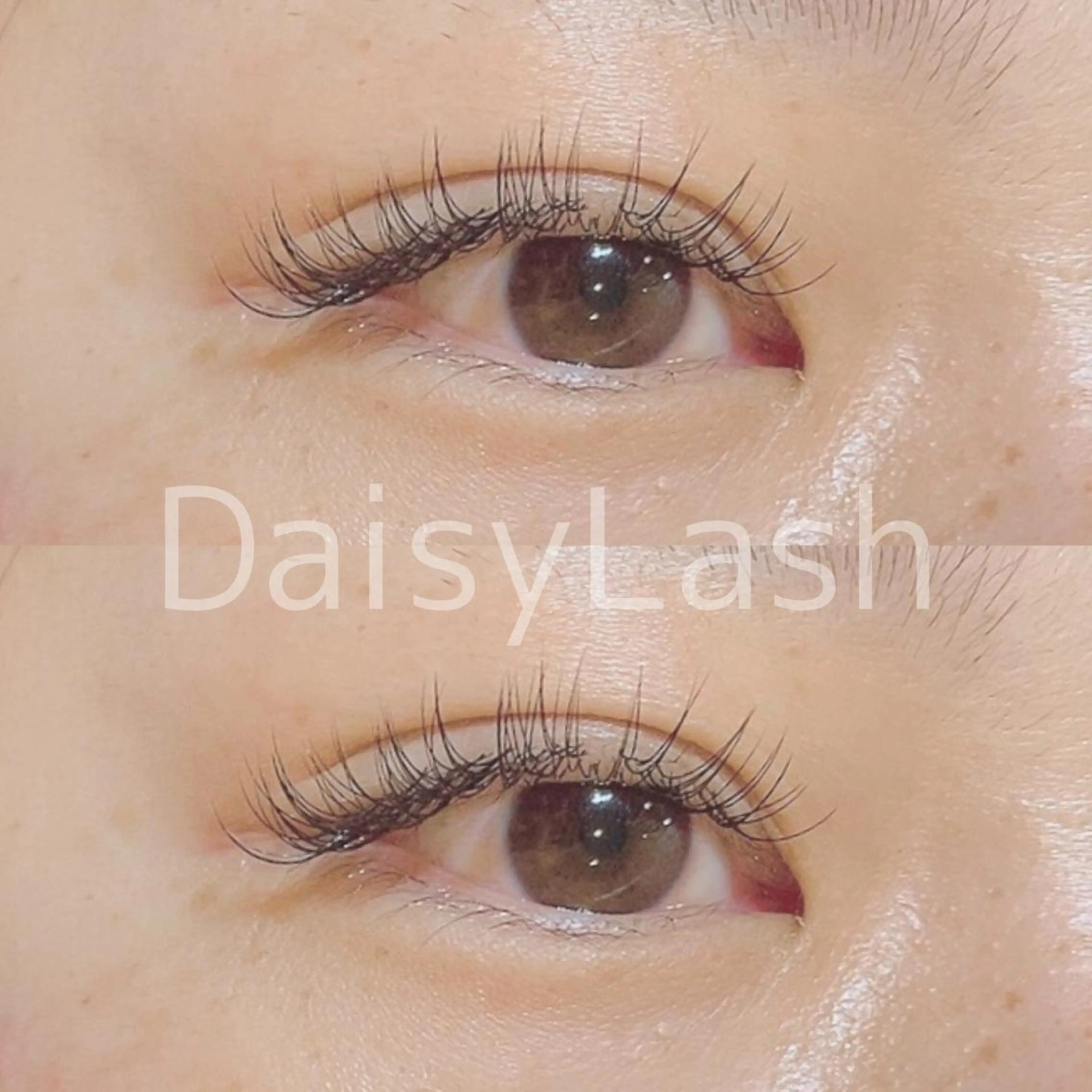 マツエク・マツパ DaisyLash 京橋店のマツエク・マツパデザイン