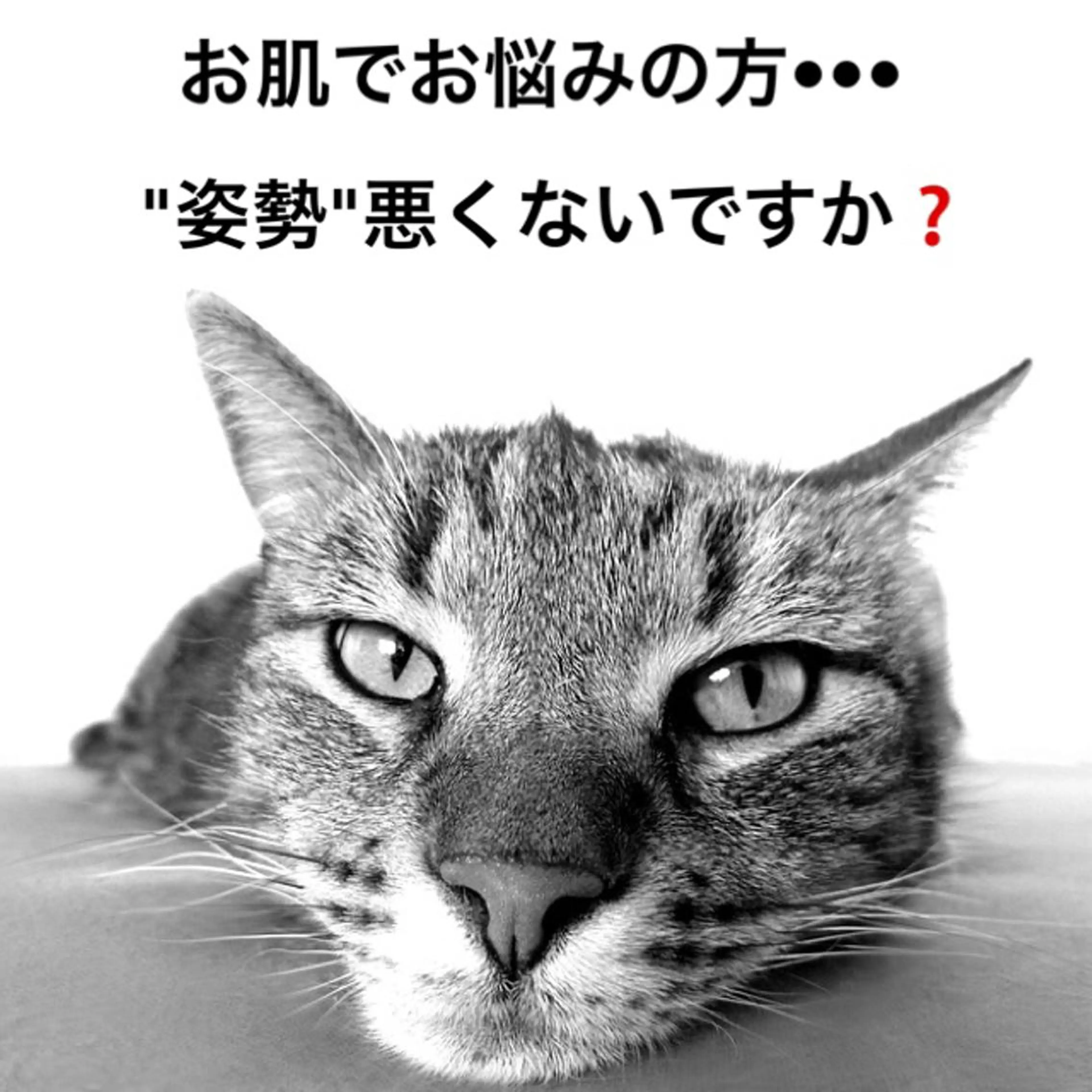 都度払い肌質改善 &脱毛Blancheのエステ・リラクイメージ