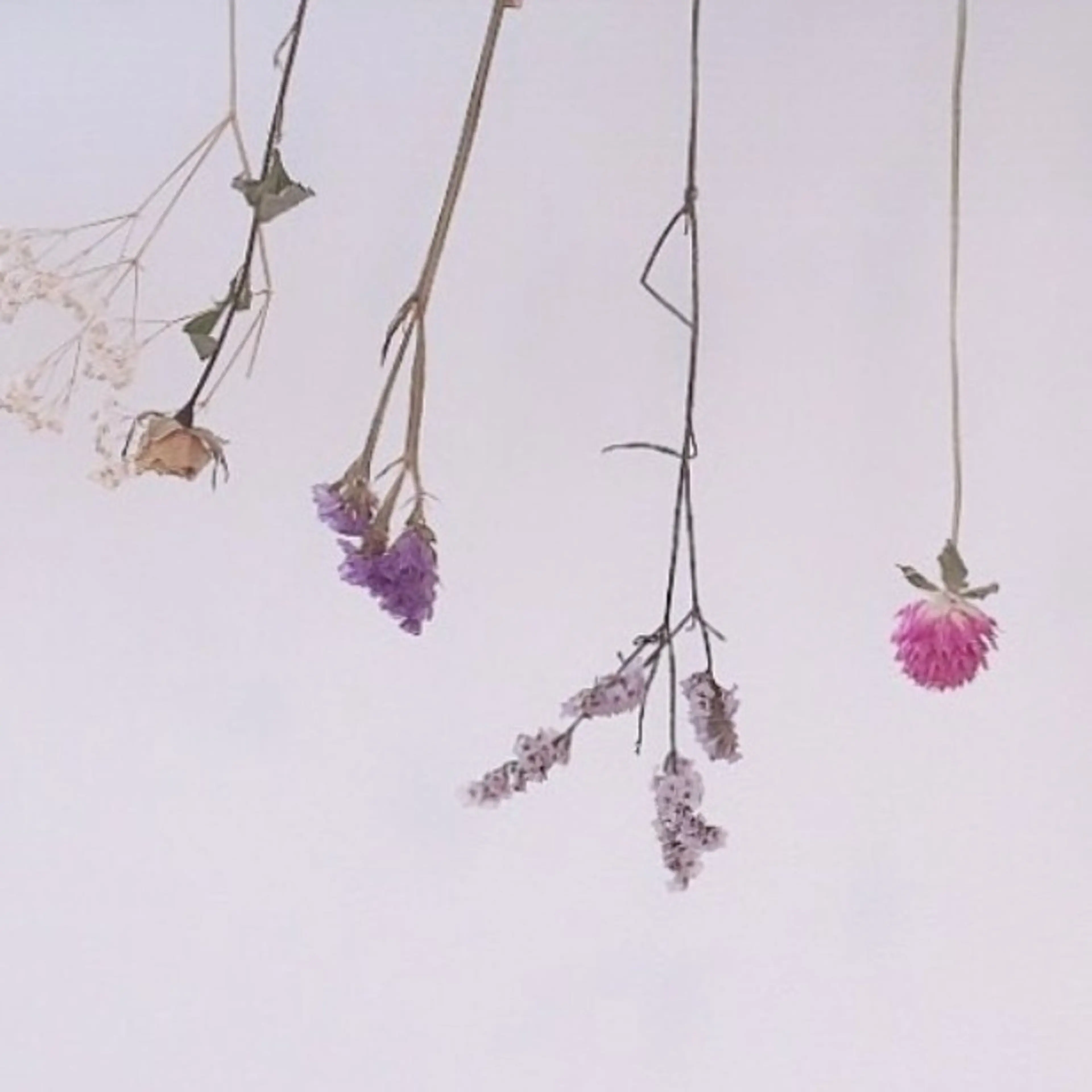 ネイル Lulu Nails ルルネイルズ所属・L u l u    N a i l sのネイルデザイン