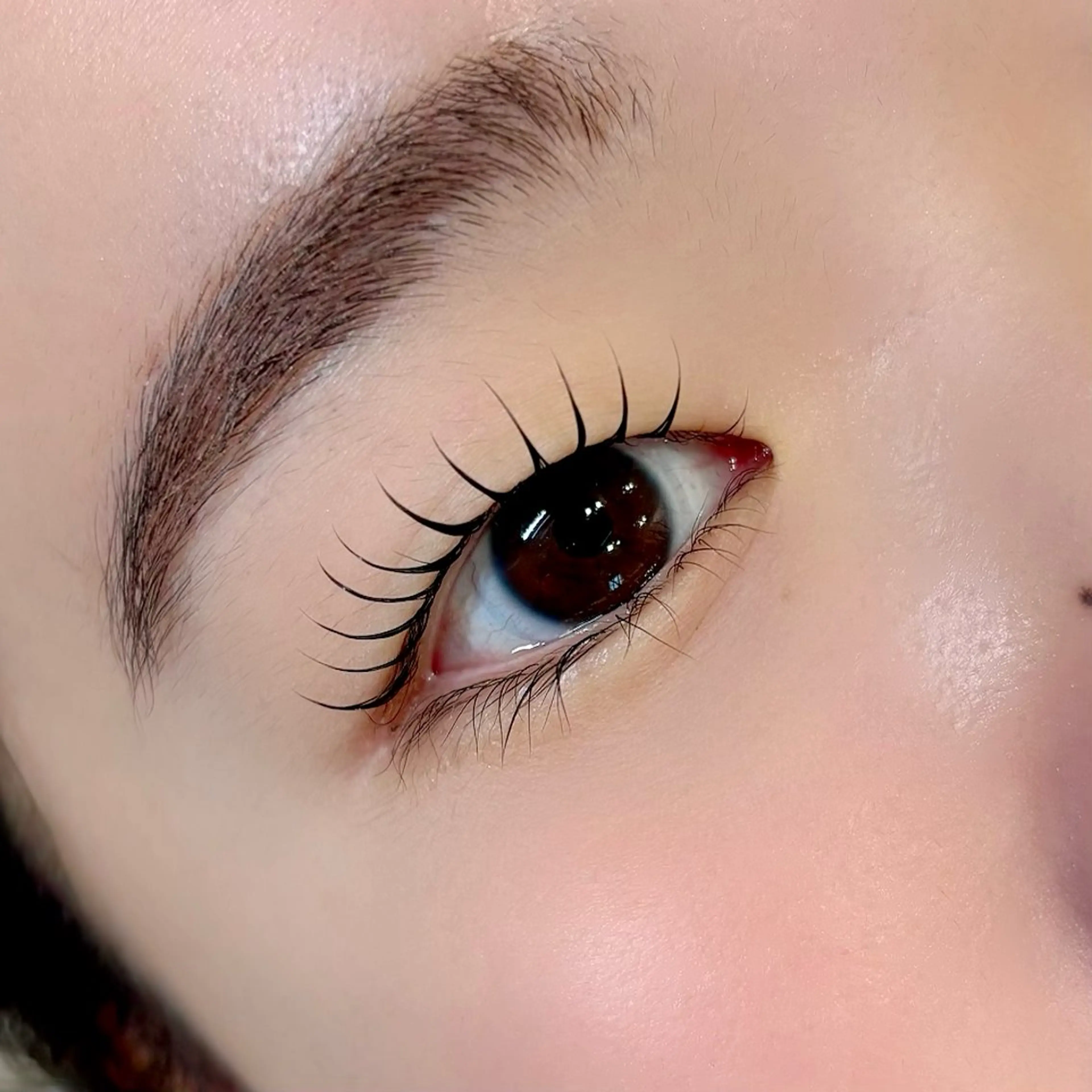 マツエク・マツパ TREE 筒井紫歩のマツエク・マツパデザイン