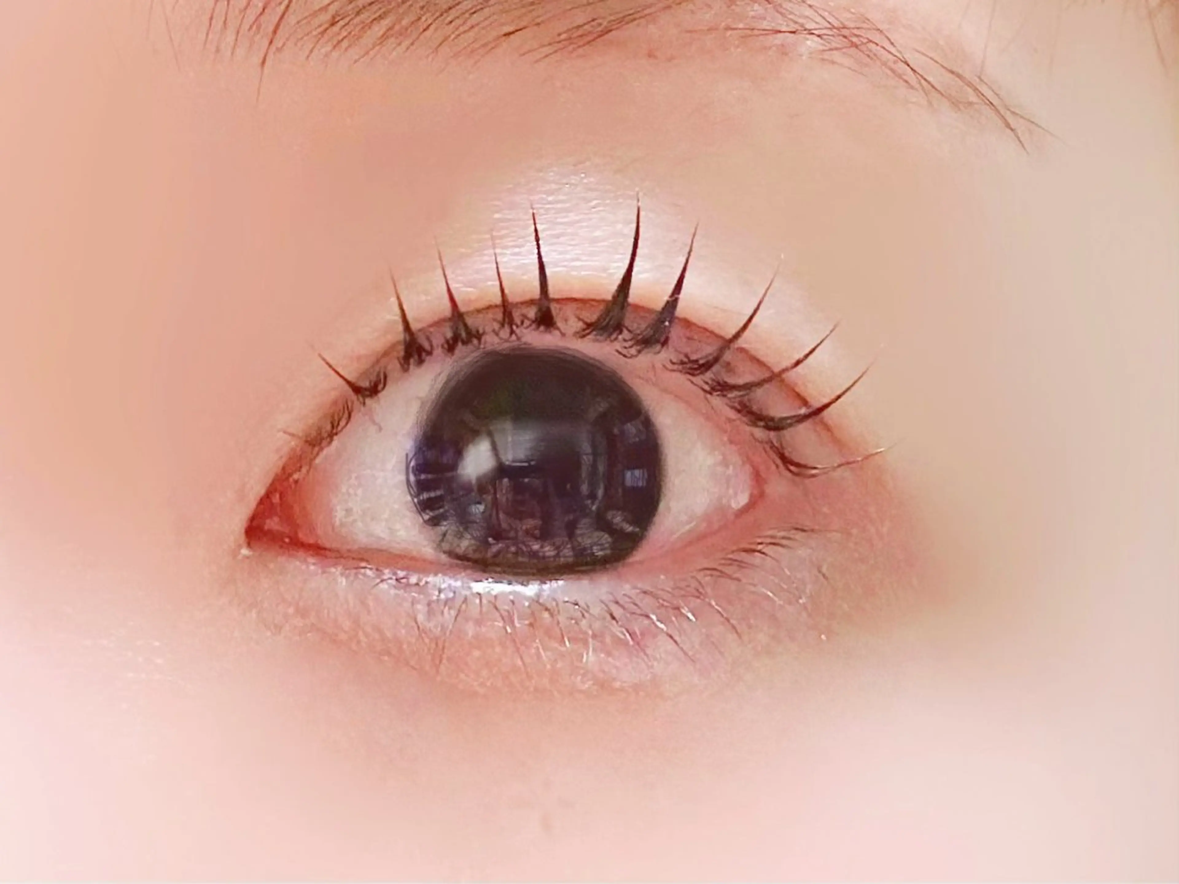 マツエク・マツパ まつげのめぐみ所属・🌹nawa.c 🦋のマツエク・マツパデザイン