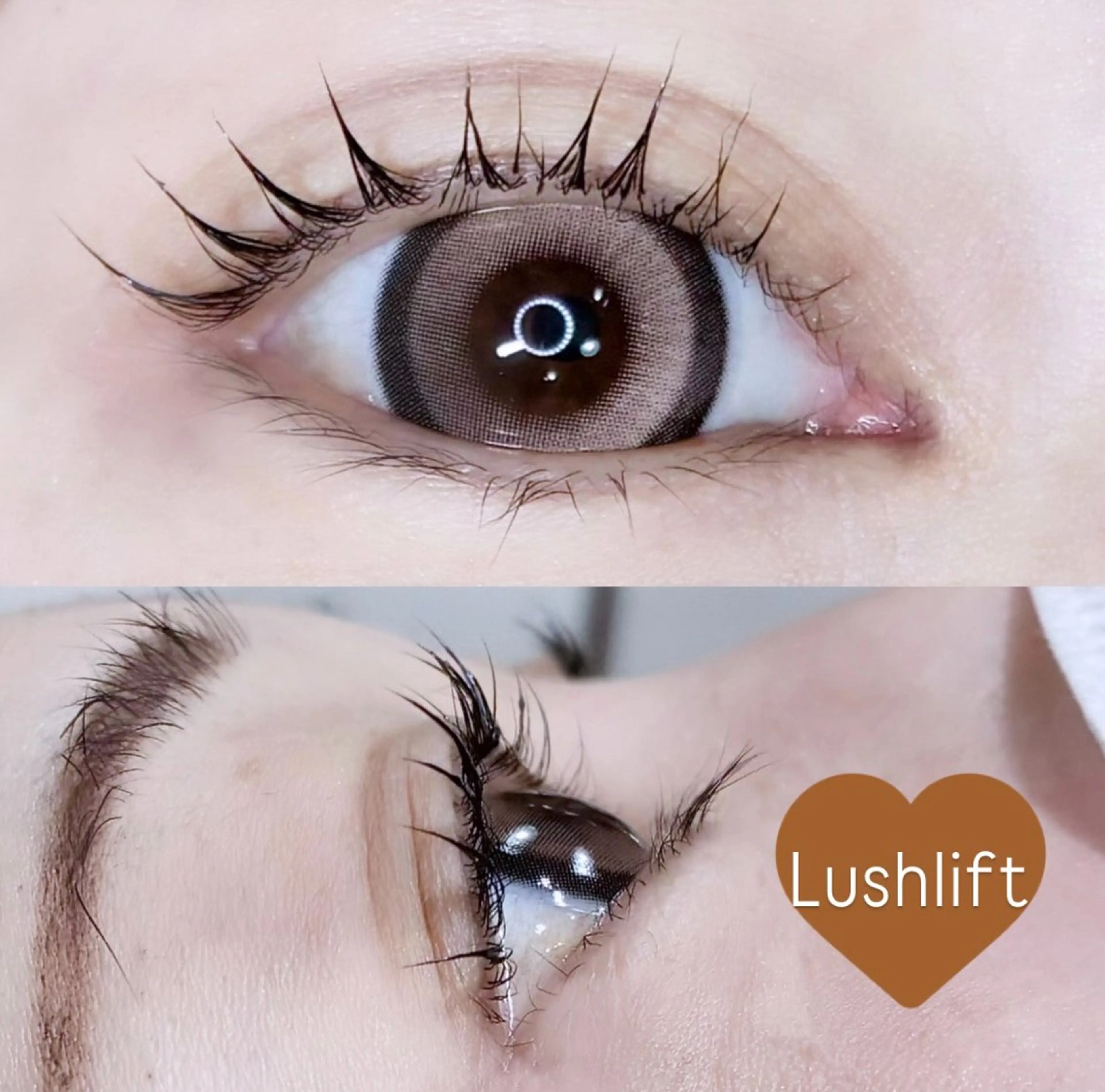 マツエク・マツパ LEDエクステ専門店 Fedis 京橋のマツエク・マツパデザイン