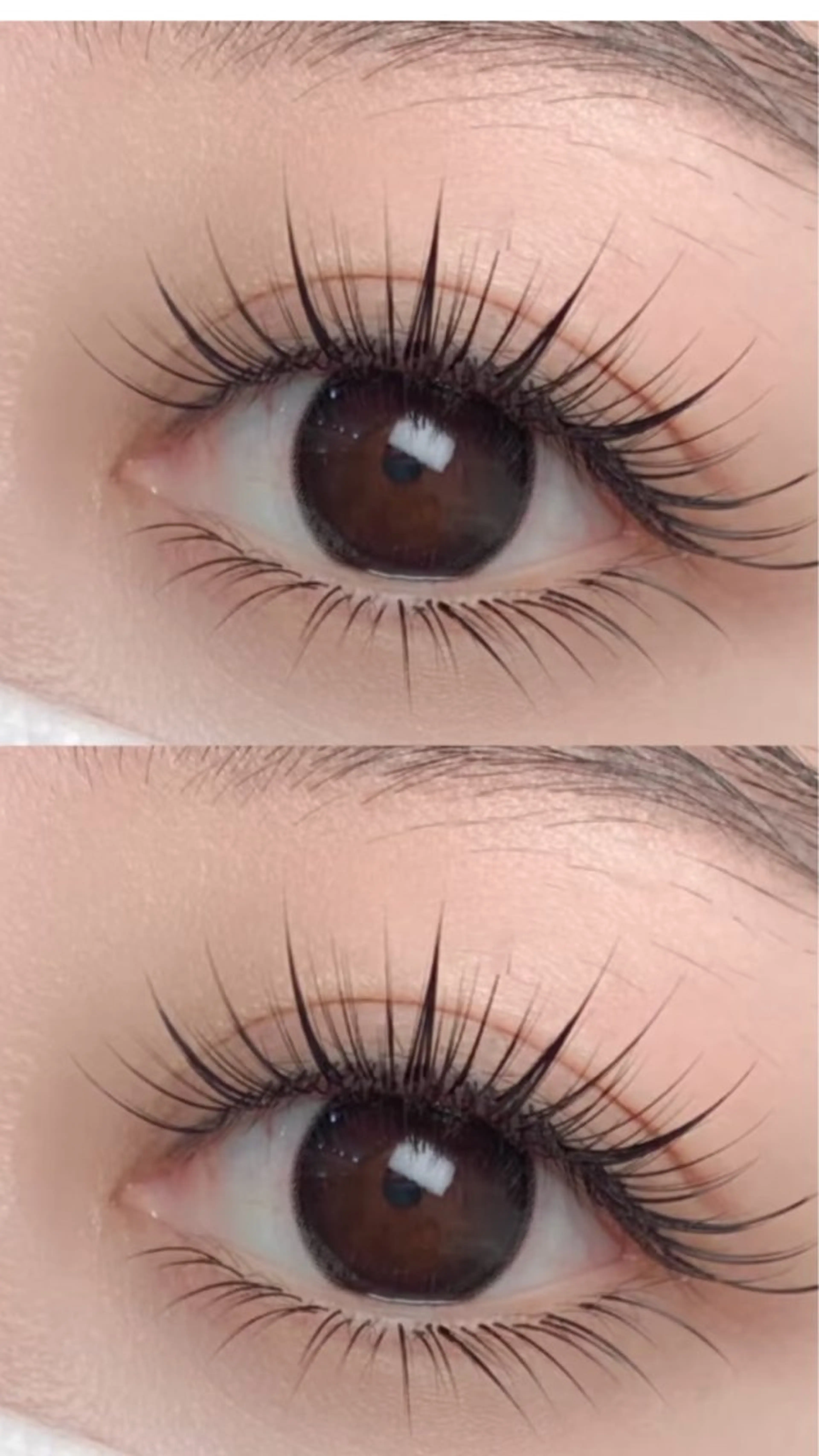 ワンホン風デザインの写真