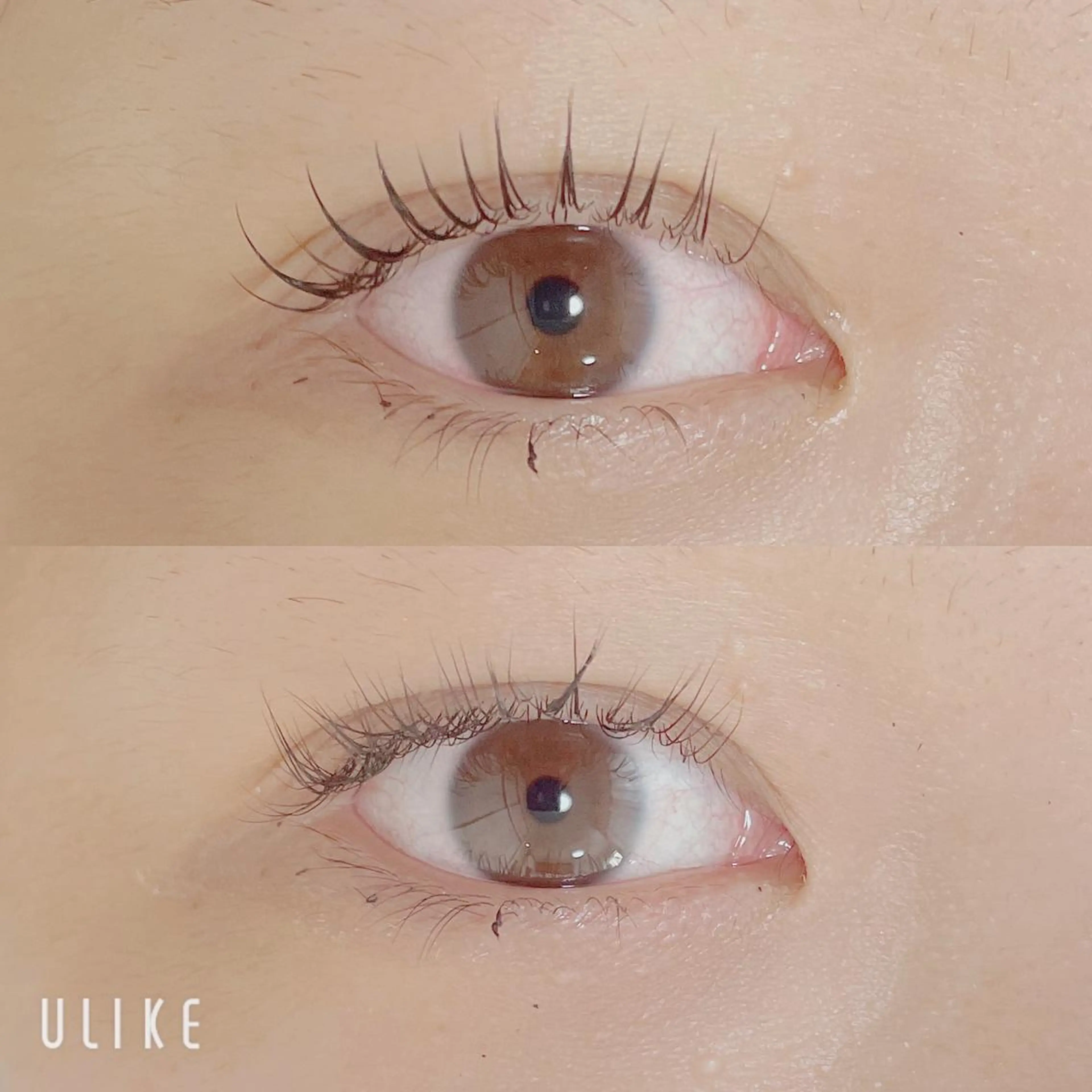 マツエク・マツパ マツパ Lotus.所属・Lotus. makoのエステ・リラクイメージ