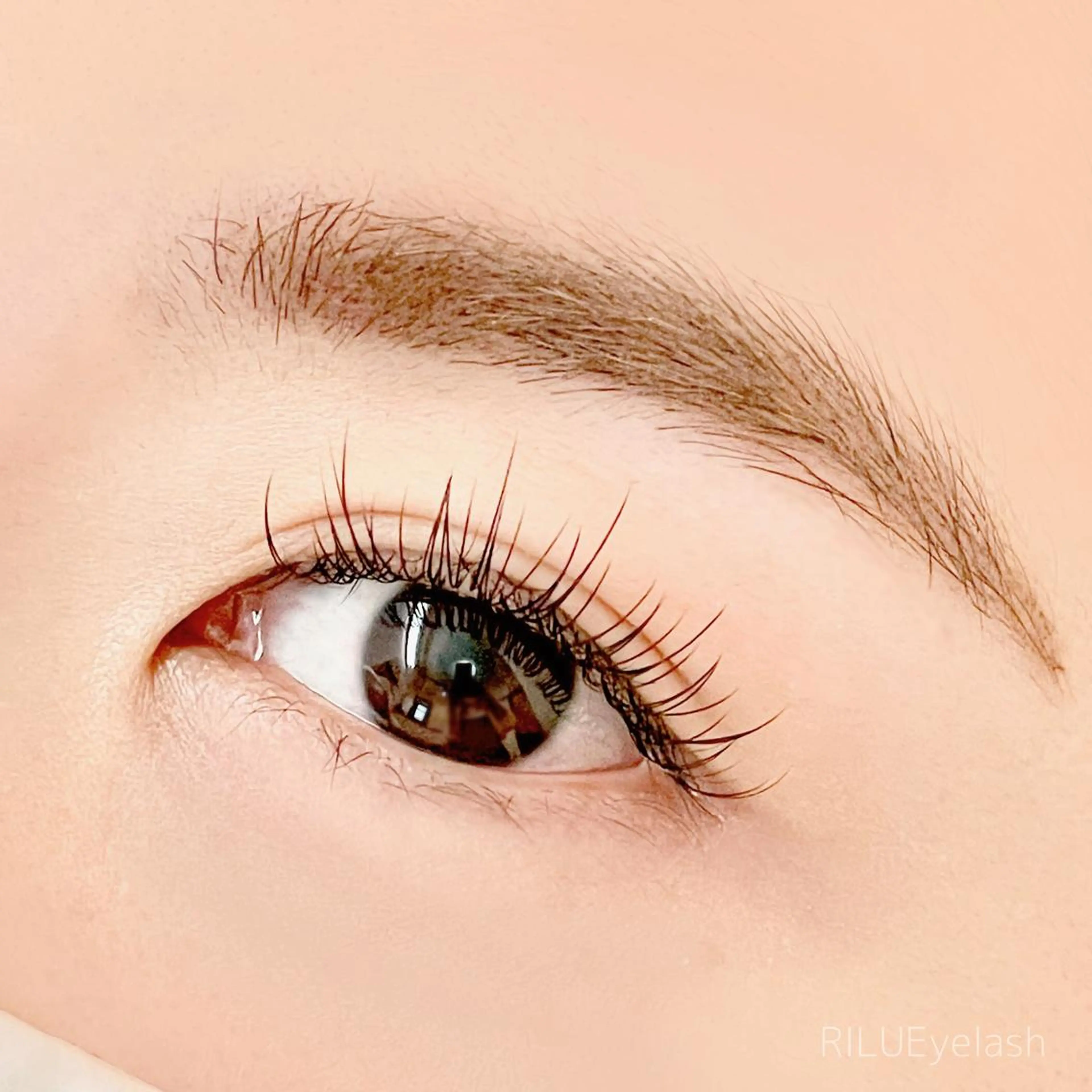 〔学割〕シングル 100本の写真