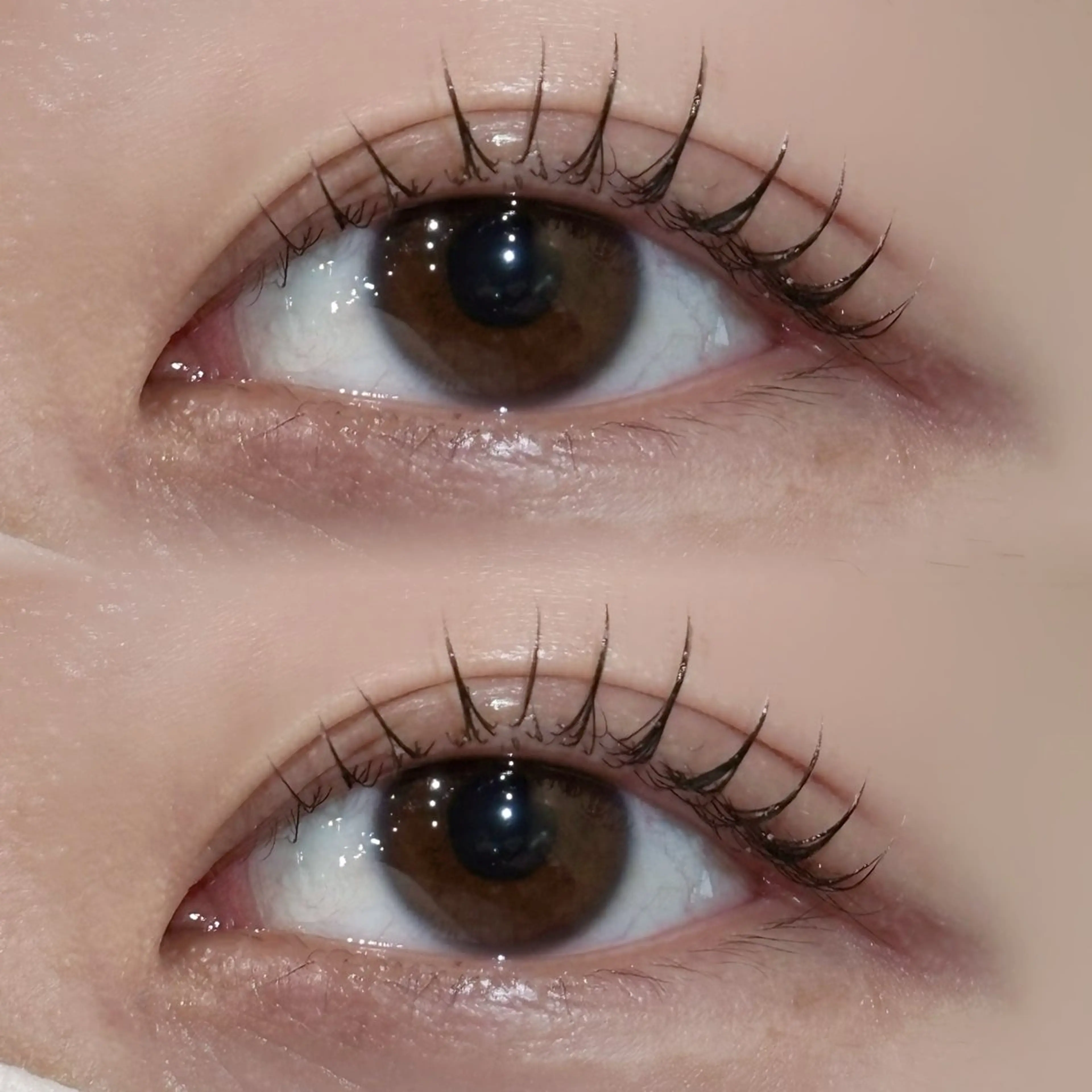 マツエク・マツパ リュープリエ所属・lieu plie riinaの眉毛・アイブロウイメージ