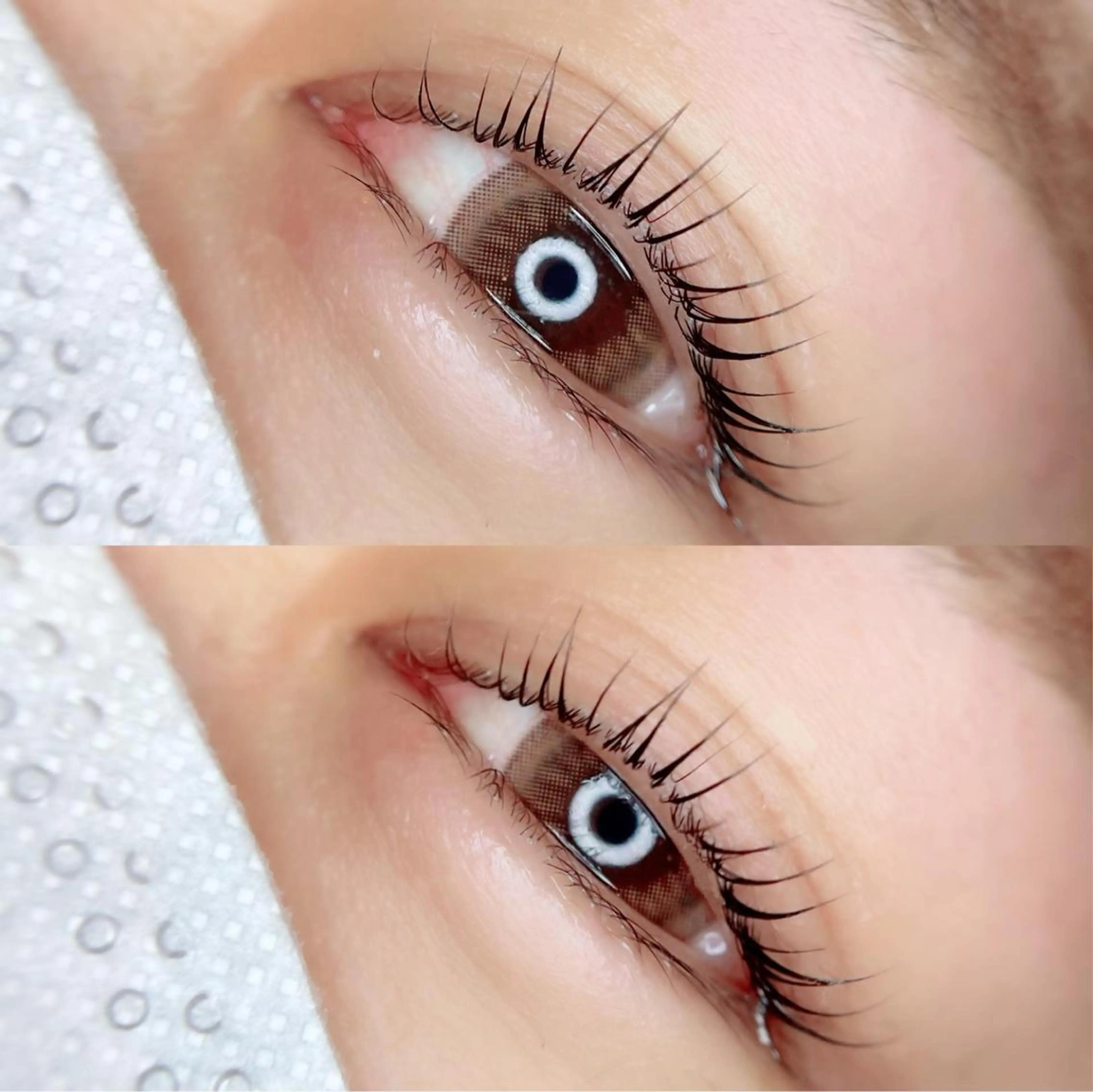 マツエク・マツパ mignon /まつげパーマ/眉毛のエステ・リラクイメージ