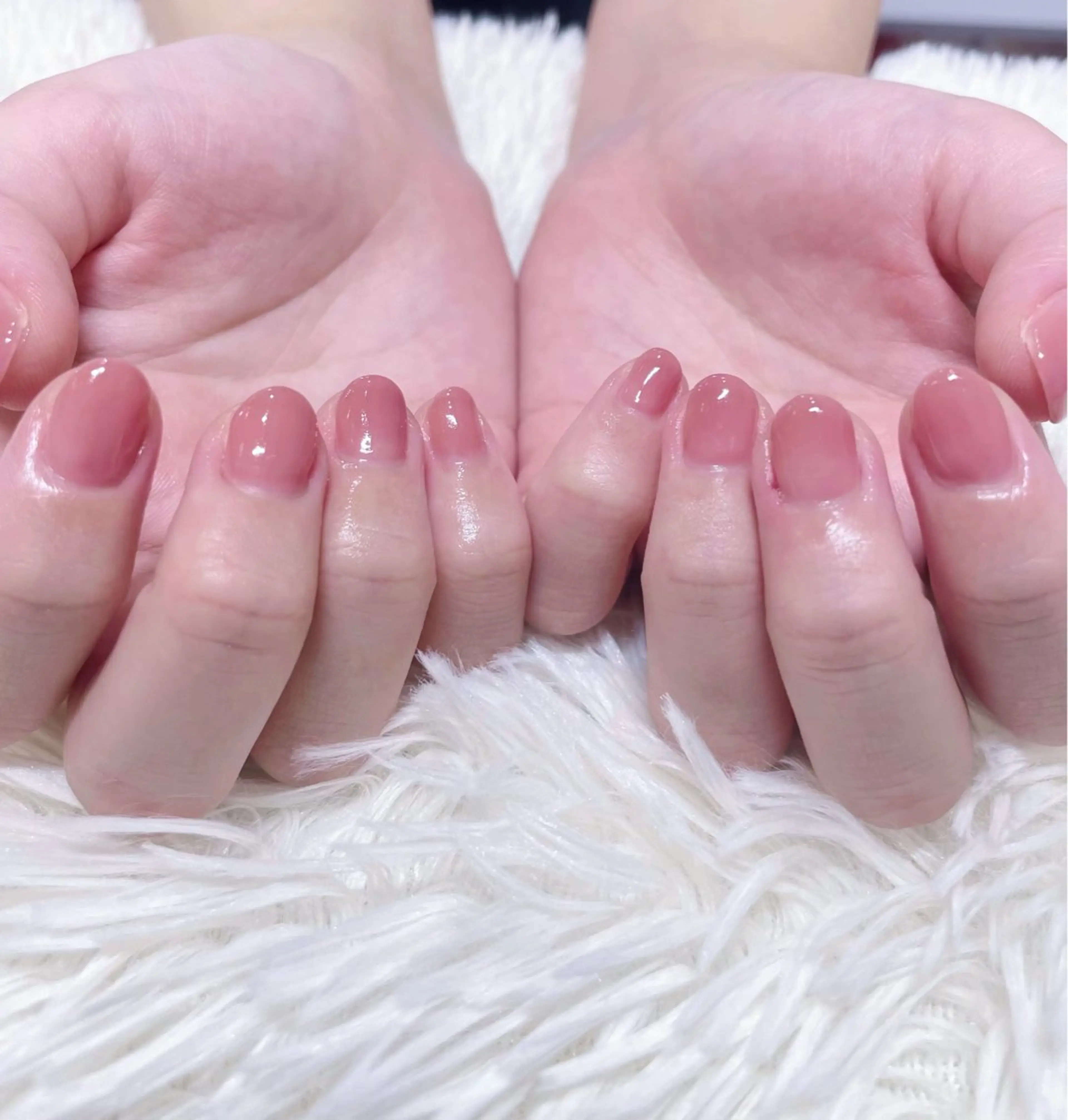 （新規限定）オフなし ワンカラーの写真