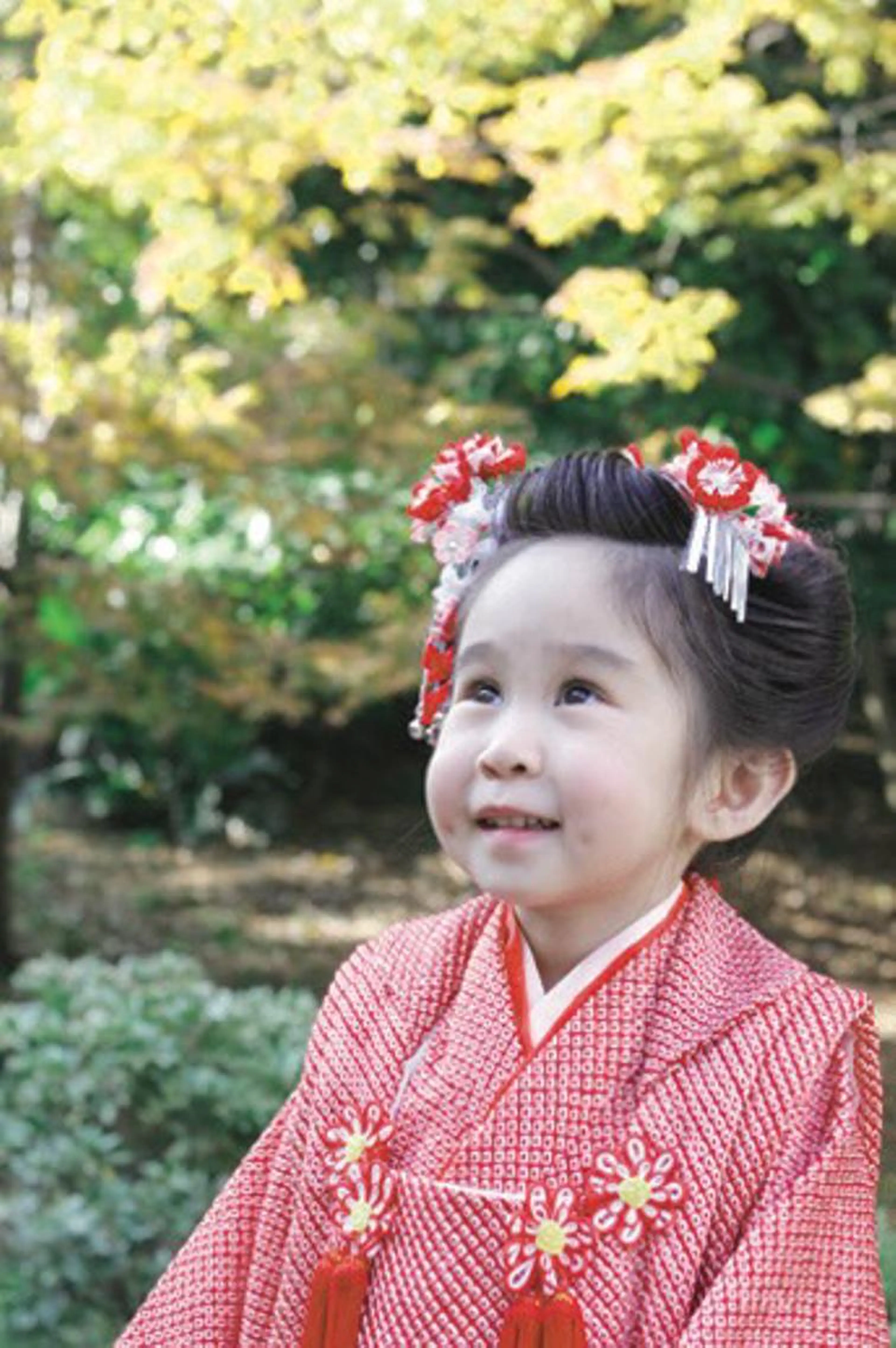 7歳桃割れ(ヘアセット)の写真