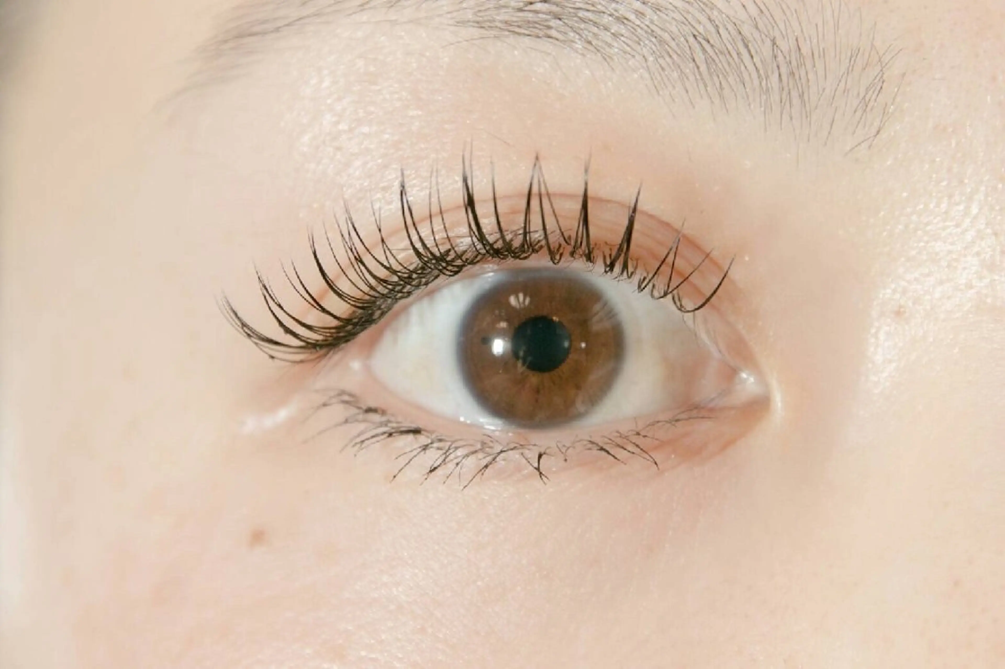 マツエク・マツパ フラットラッシュ マツエク コパン Copainのマツエク・マツパデザイン