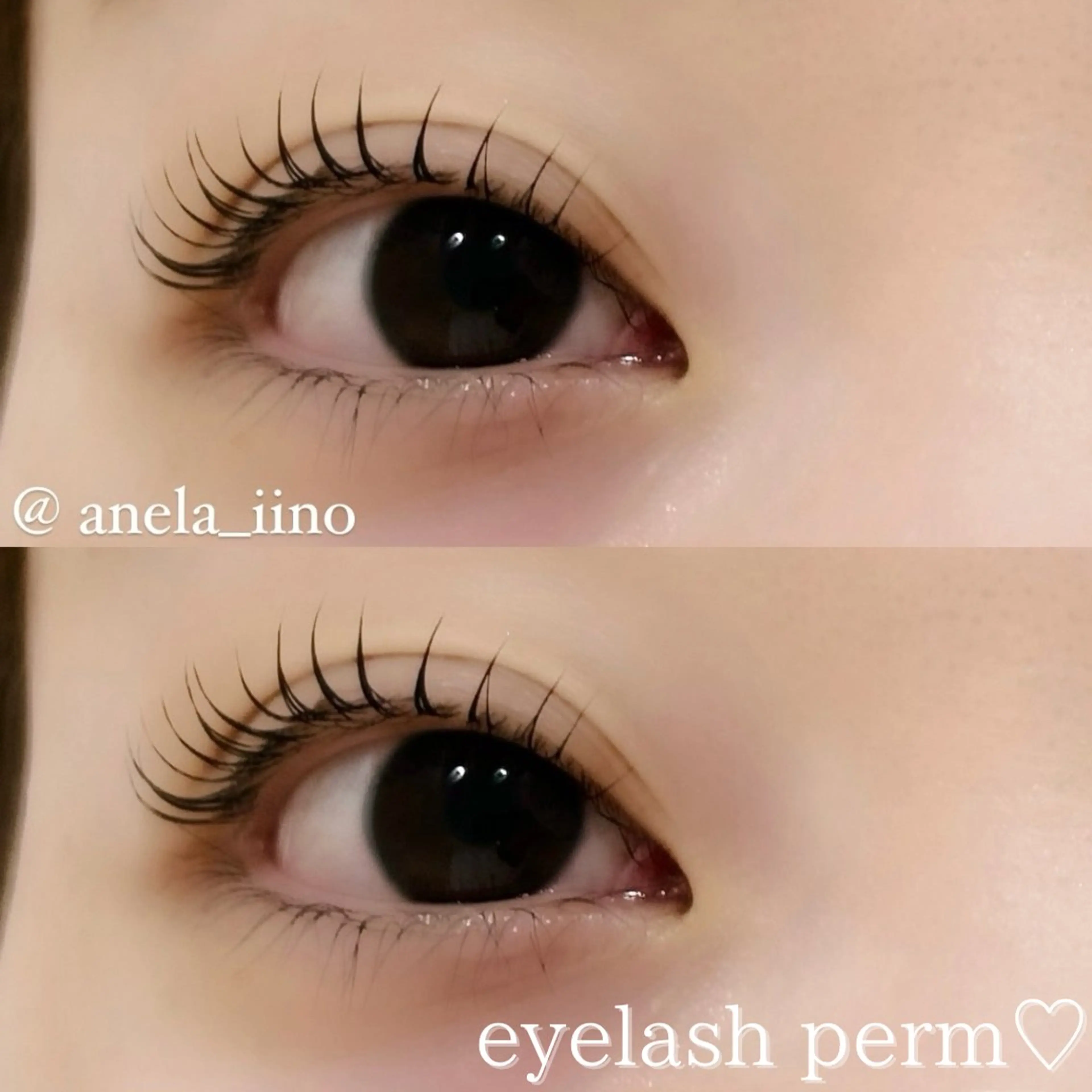 マツエク・マツパ 一重×まつ毛パーマ 🎀ANELA 飯野🎀のマツエク・マツパデザイン