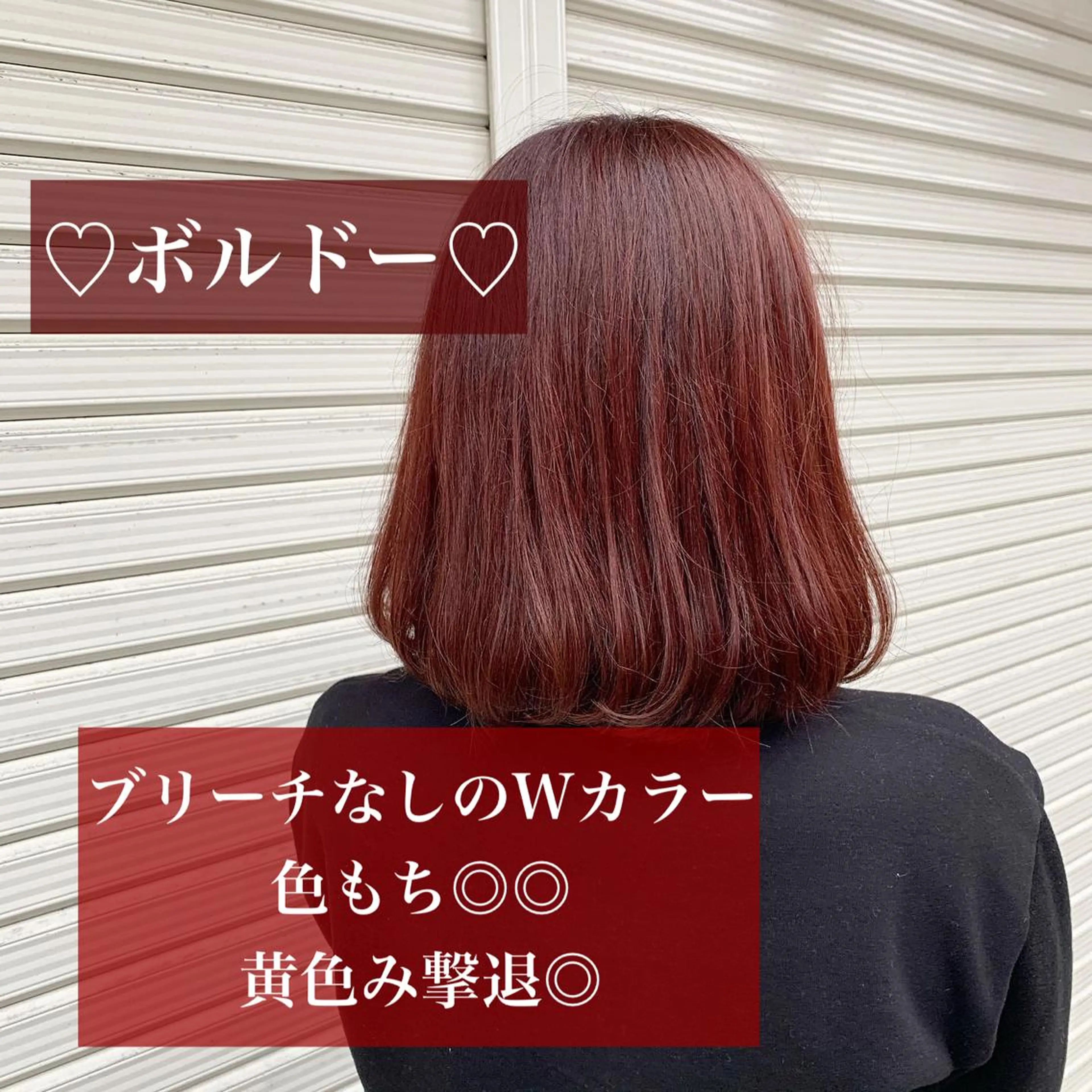 ロング カラー カット ヘアカラー トリートメント 枚方 tomee 🦋南部　しほ🦋のヘアスタイル