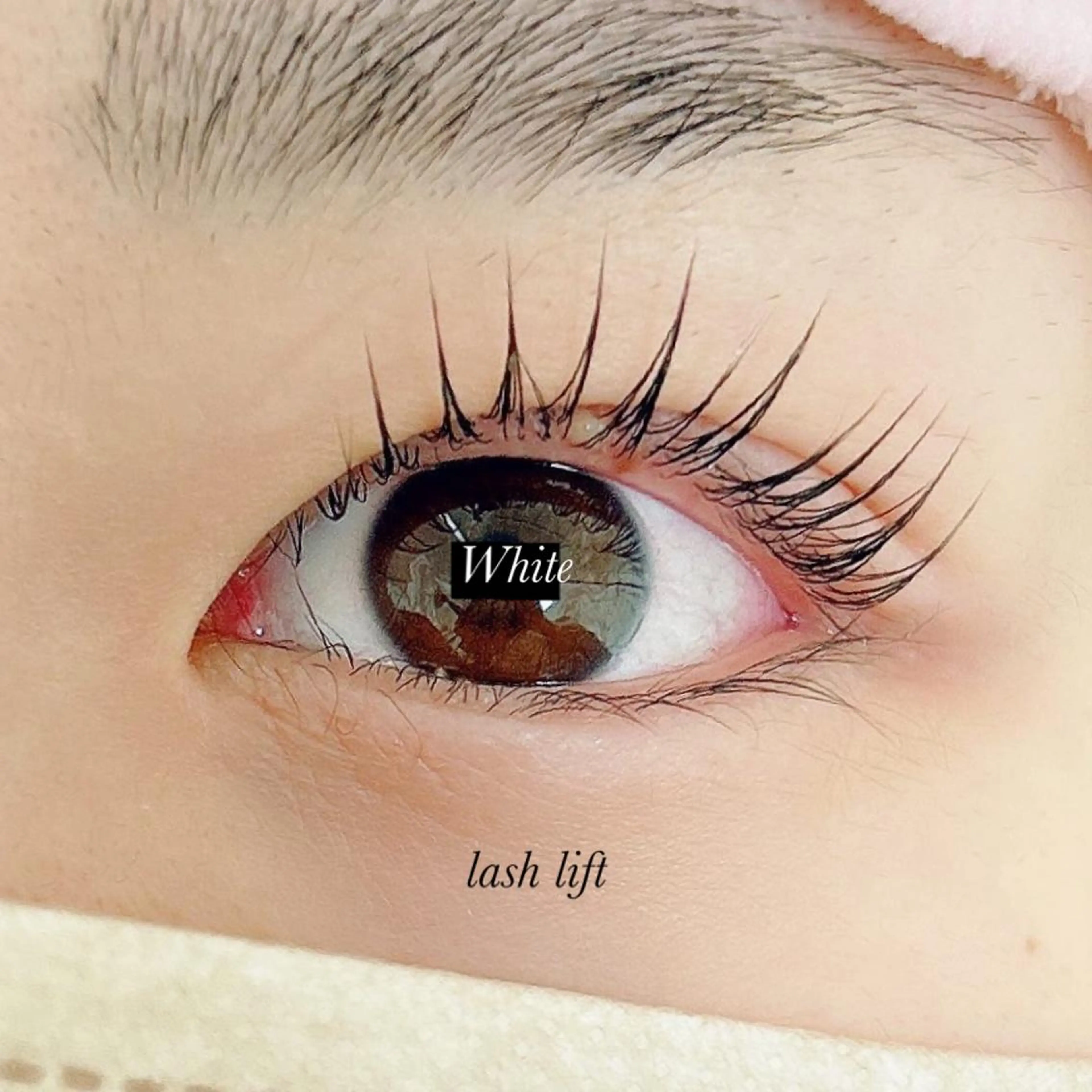 マツエク・マツパ White/マツエク /まつパ/耳つぼのマツエク・マツパデザイン