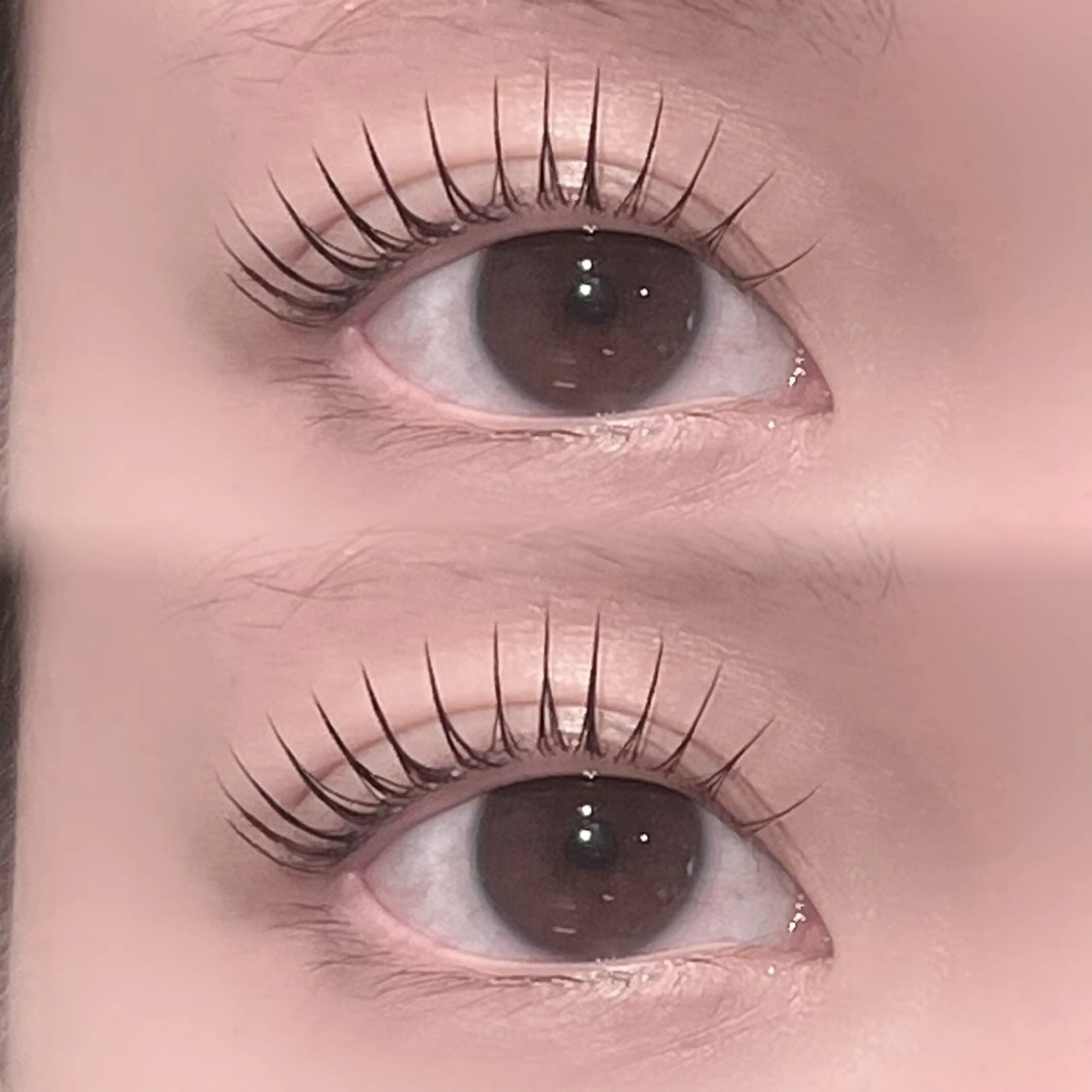 ❣️本日限定特別価格❣️🔆パリジェンヌ or まつ毛パーマ (再来¥6,200)の写真