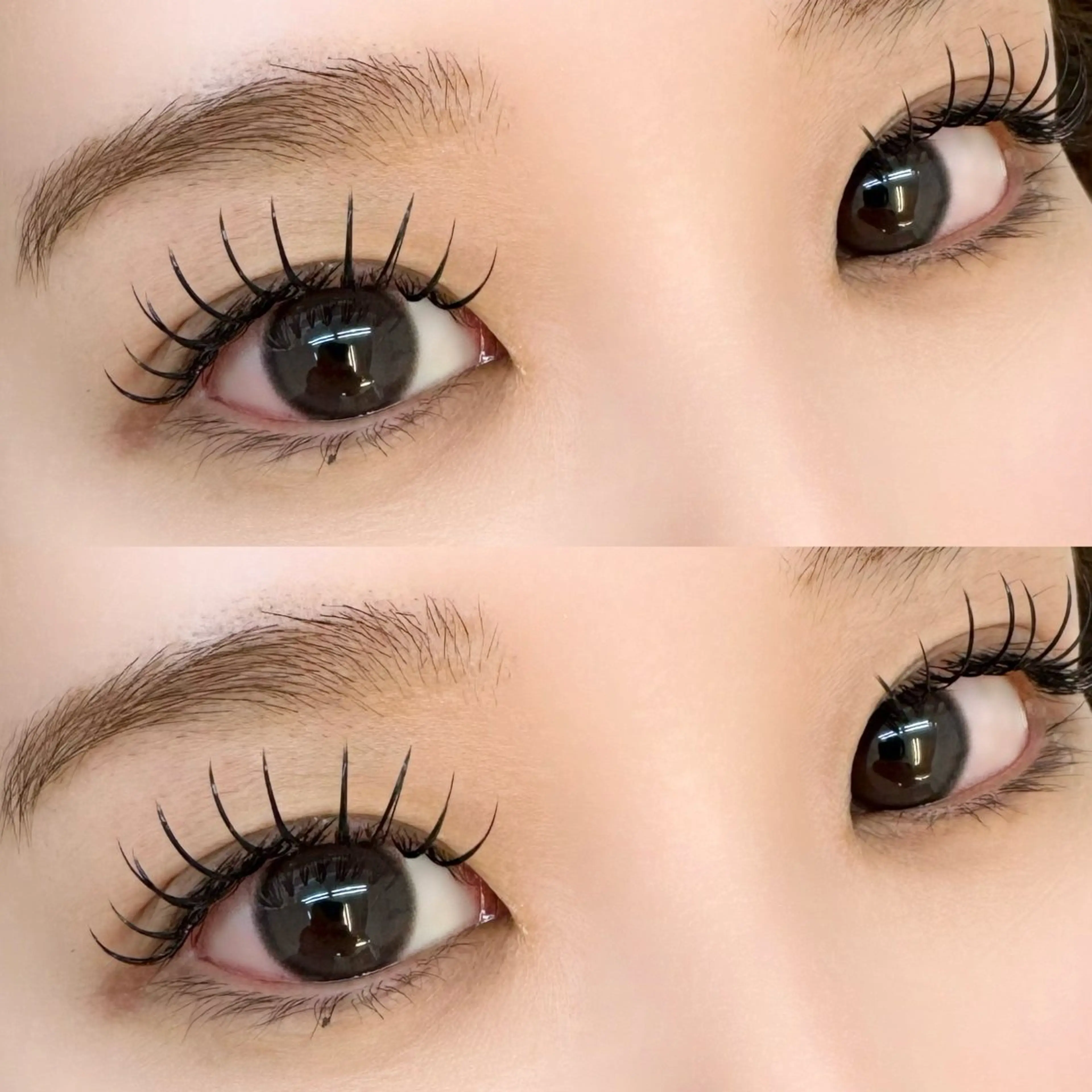 🩵ミニモ限定価格🩵バインドロックorダブルフラット80束​〜​他店付け足し可⭕️​〜​の写真