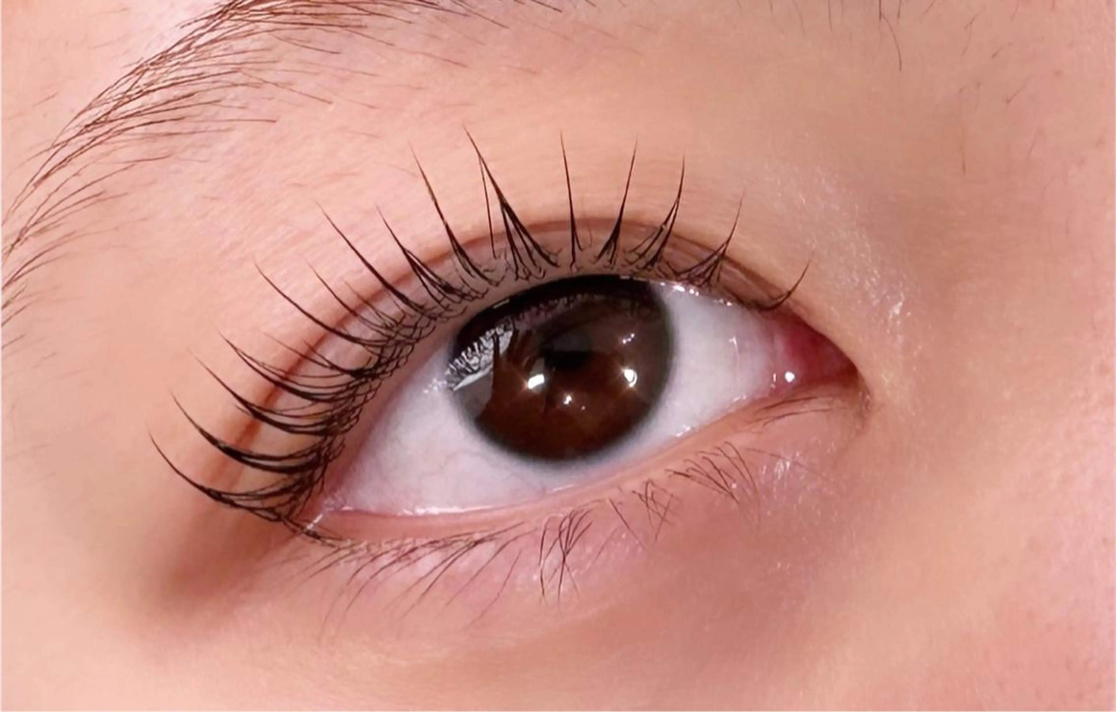 マツエク・マツパ マツパ 川畑🌻 アンジェリカ錦糸町のマツエク・マツパデザイン