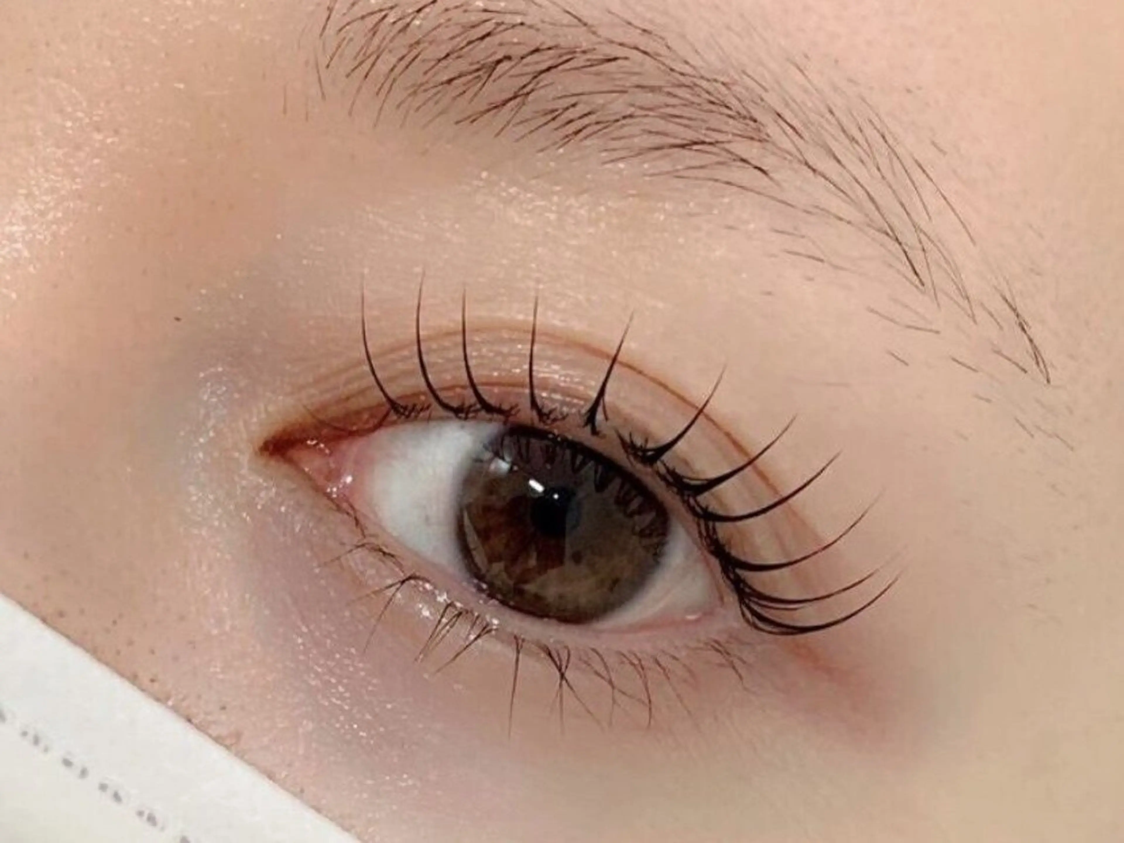 マツエク・マツパ Un Fleur mee【アンフルールミー】所属・たにぐち こうめのマツエク・マツパデザイン