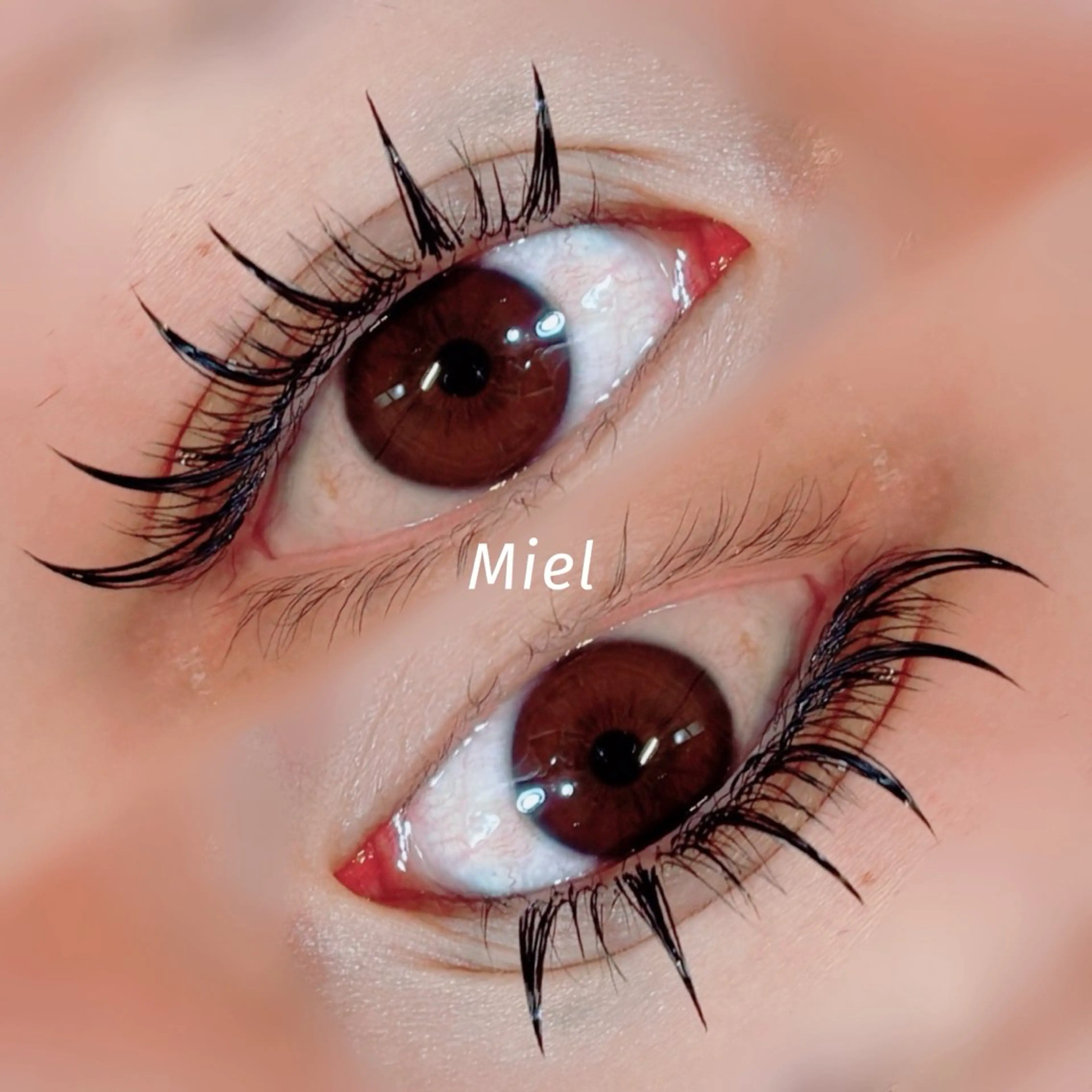 マツエク・マツパ カラーマツエク フラットラッシュ ボリュームラッシュ ワンホンマツエク Mori ✨Mystical✨のマツエク・マツパデザイン