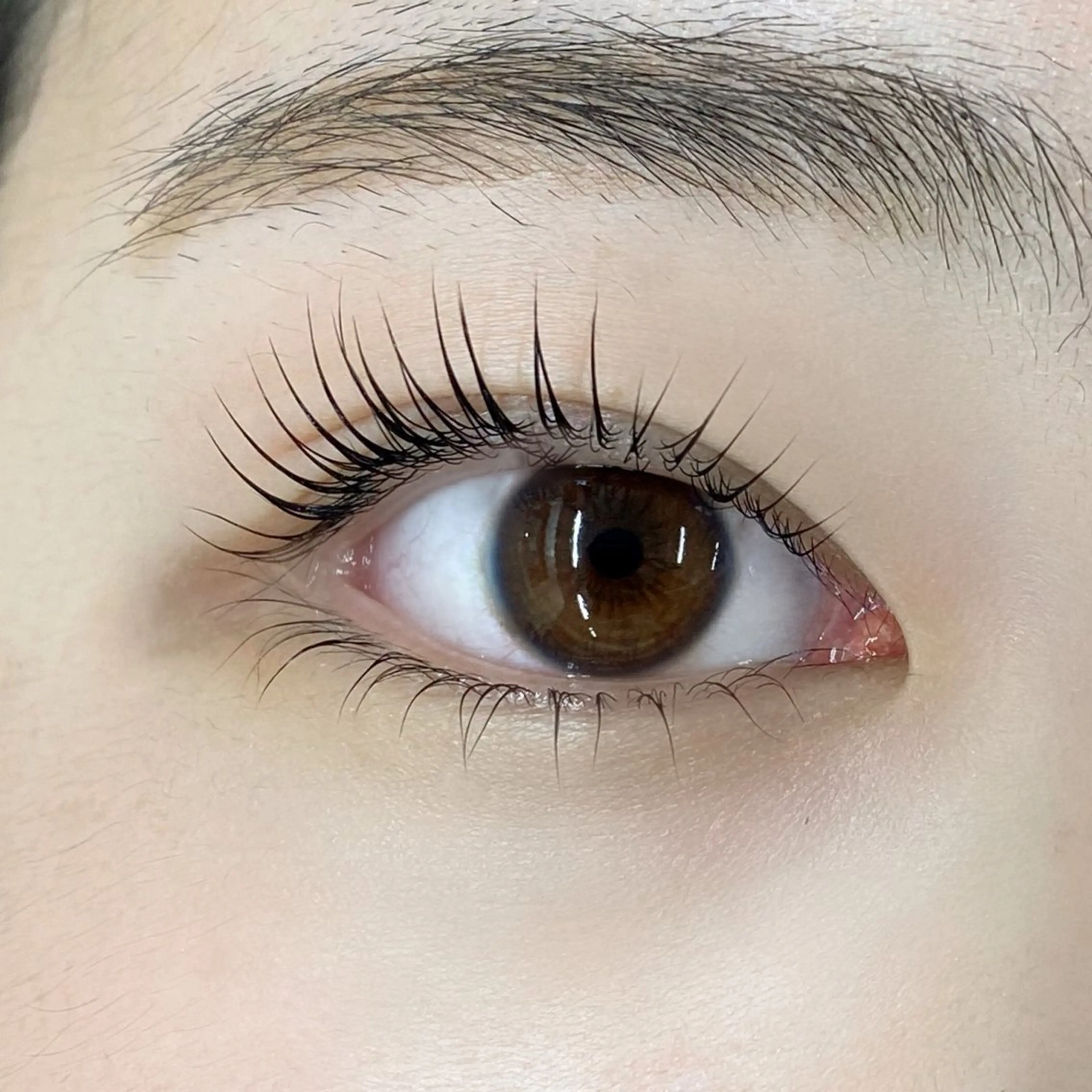 マツエク・マツパ 下まつげエクステ 一重×まつ毛パーマ マツパ U too e's MANAE🌼の眉毛・アイブロウイメージ