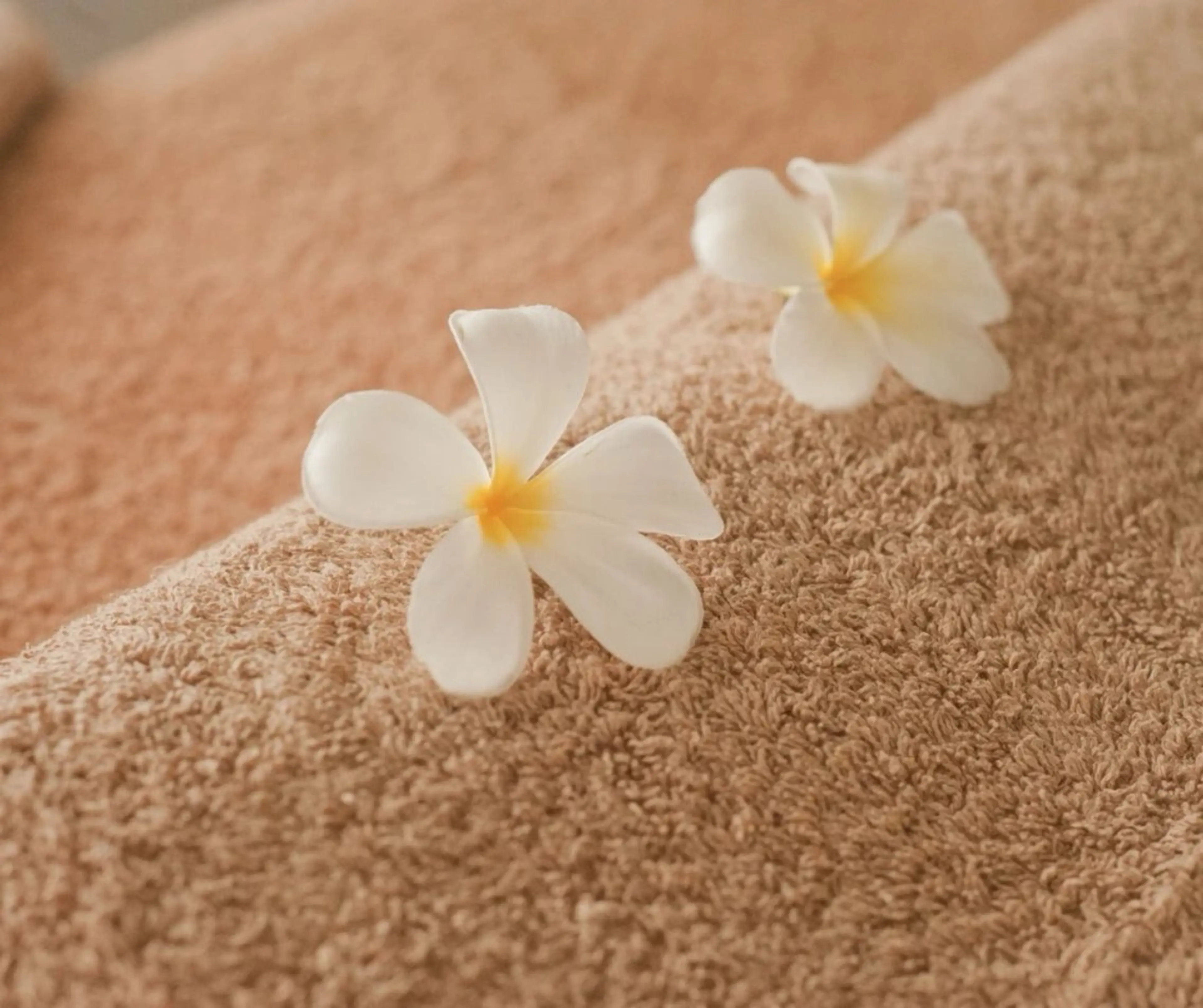 小顔/リンパ/マッサージL.sana所属・小顔/フェイシャル L.sanaのエステ・リラクイメージ