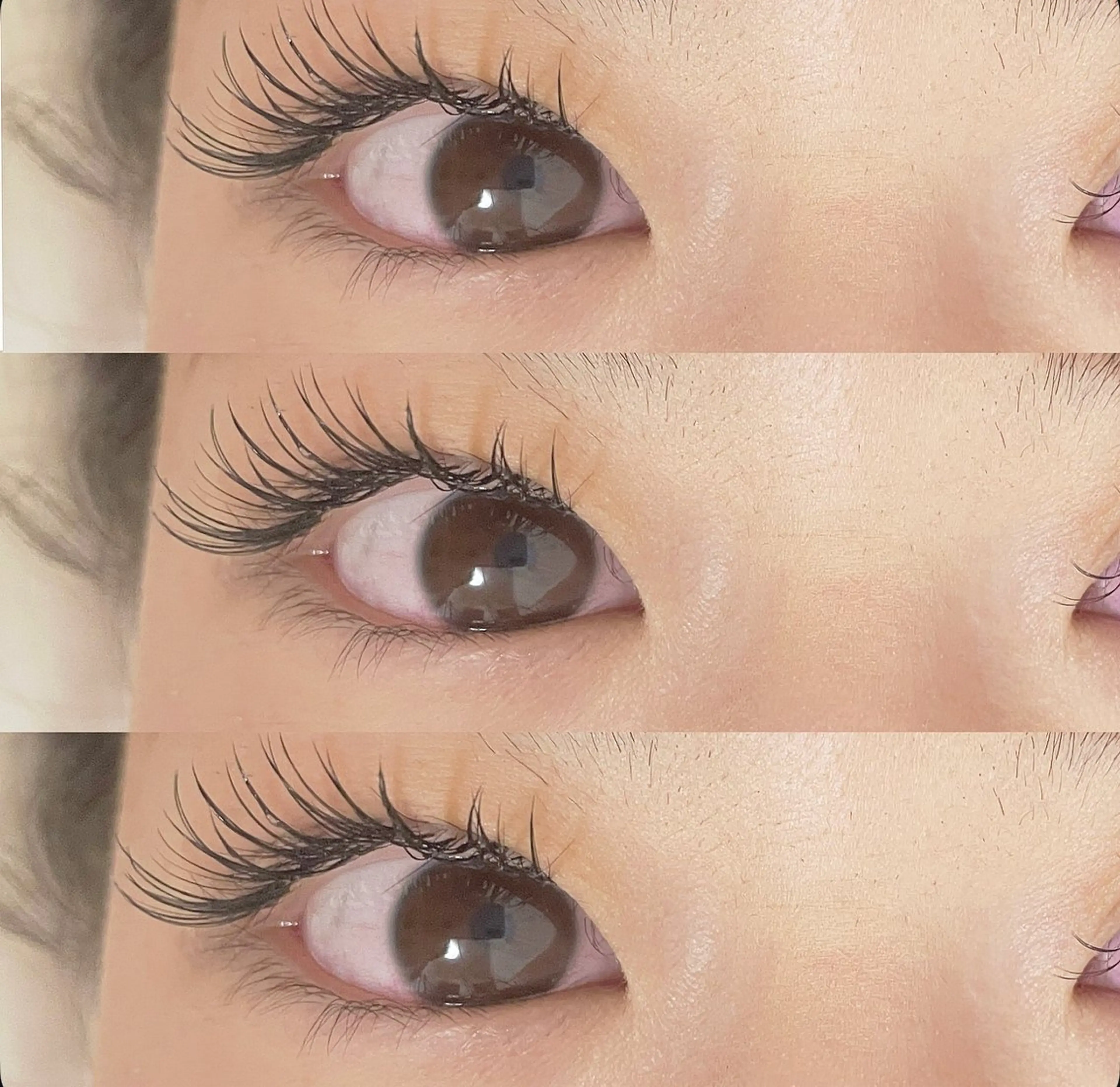 マツエク・マツパ Dカール フラットラッシュ マツエク 越後 杏のマツエク・マツパデザイン