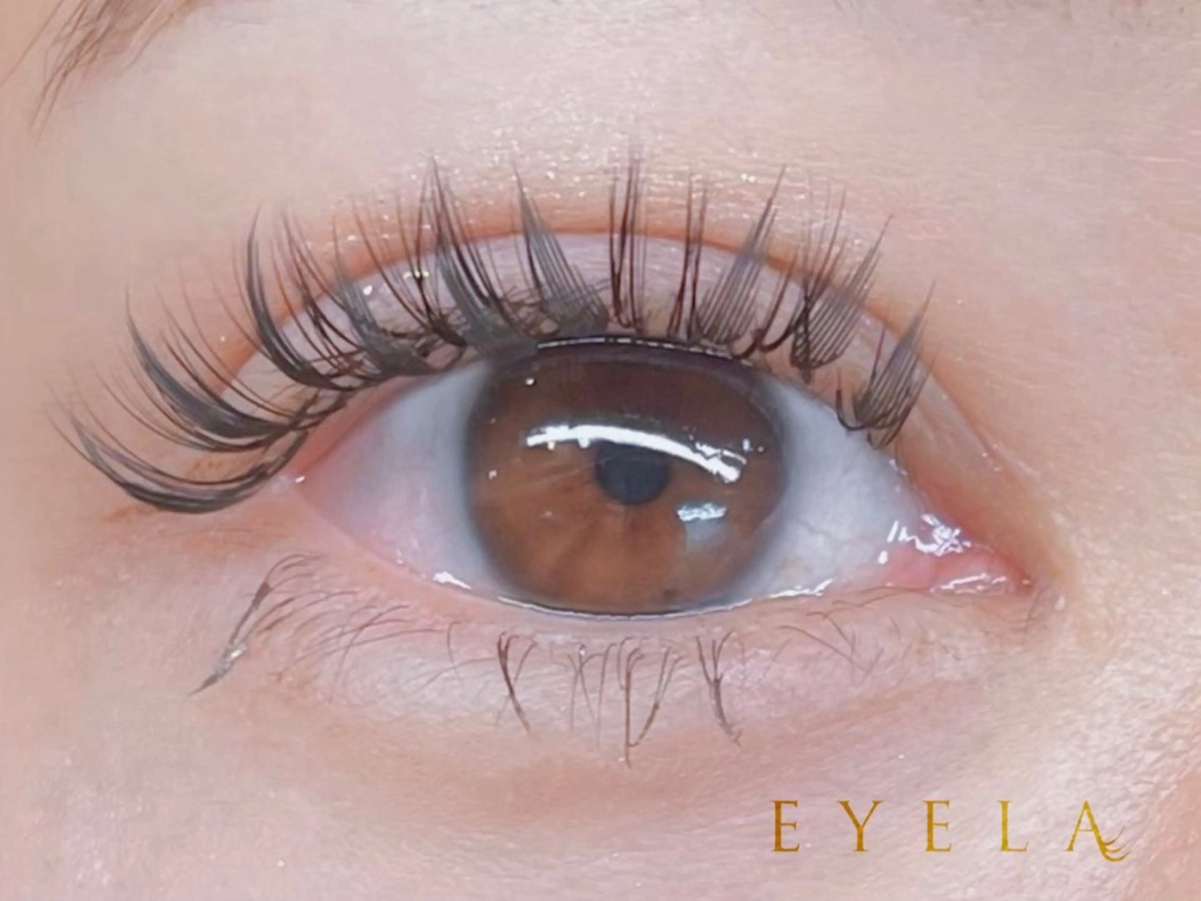 マツエク・マツパ EYELA熊本 YUIのマツエク・マツパデザイン