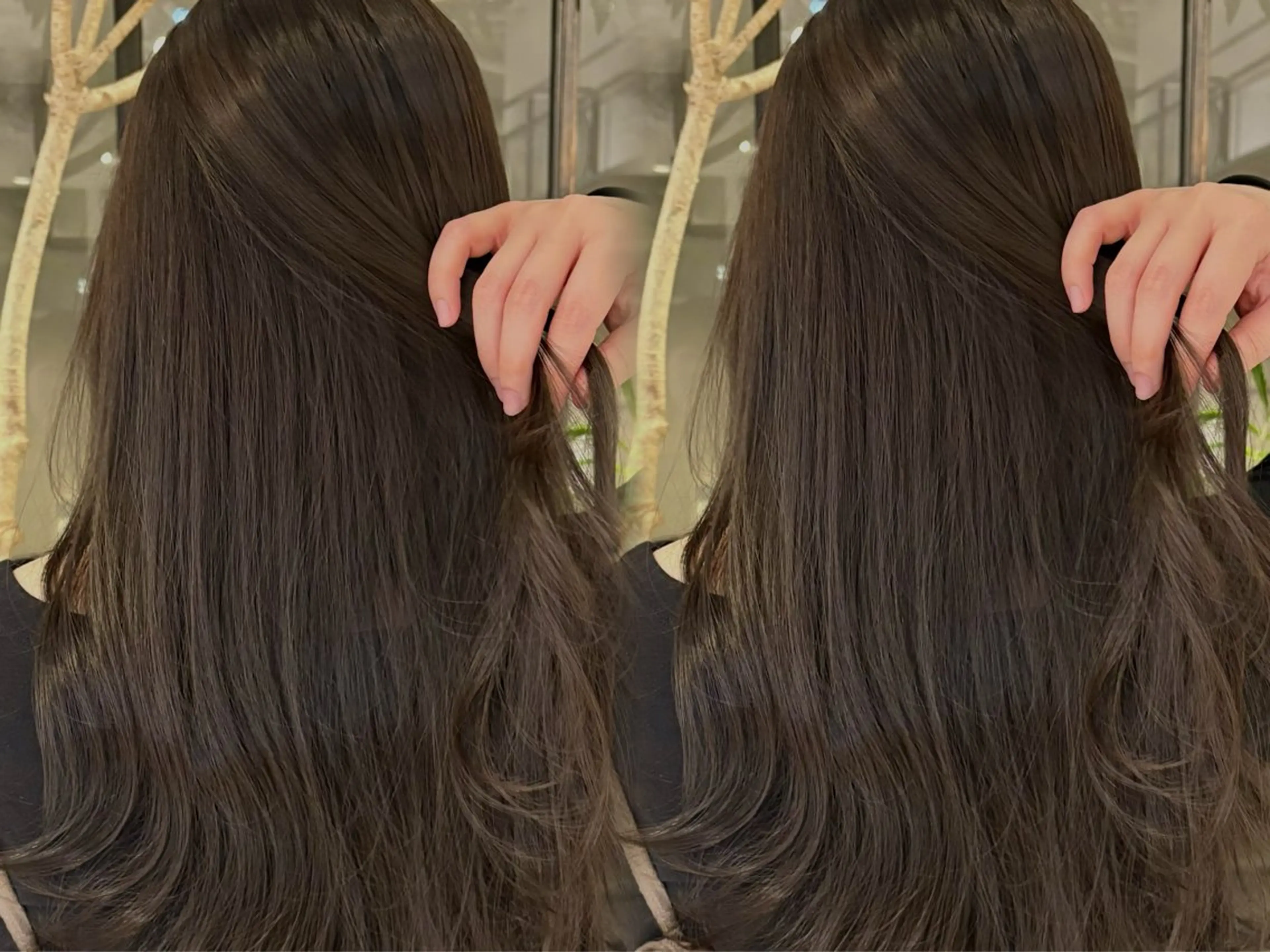 ロング カラー カット ヘアカラー 銀座/髪質改善カラー /ボブ/本田 聖のヘアスタイル