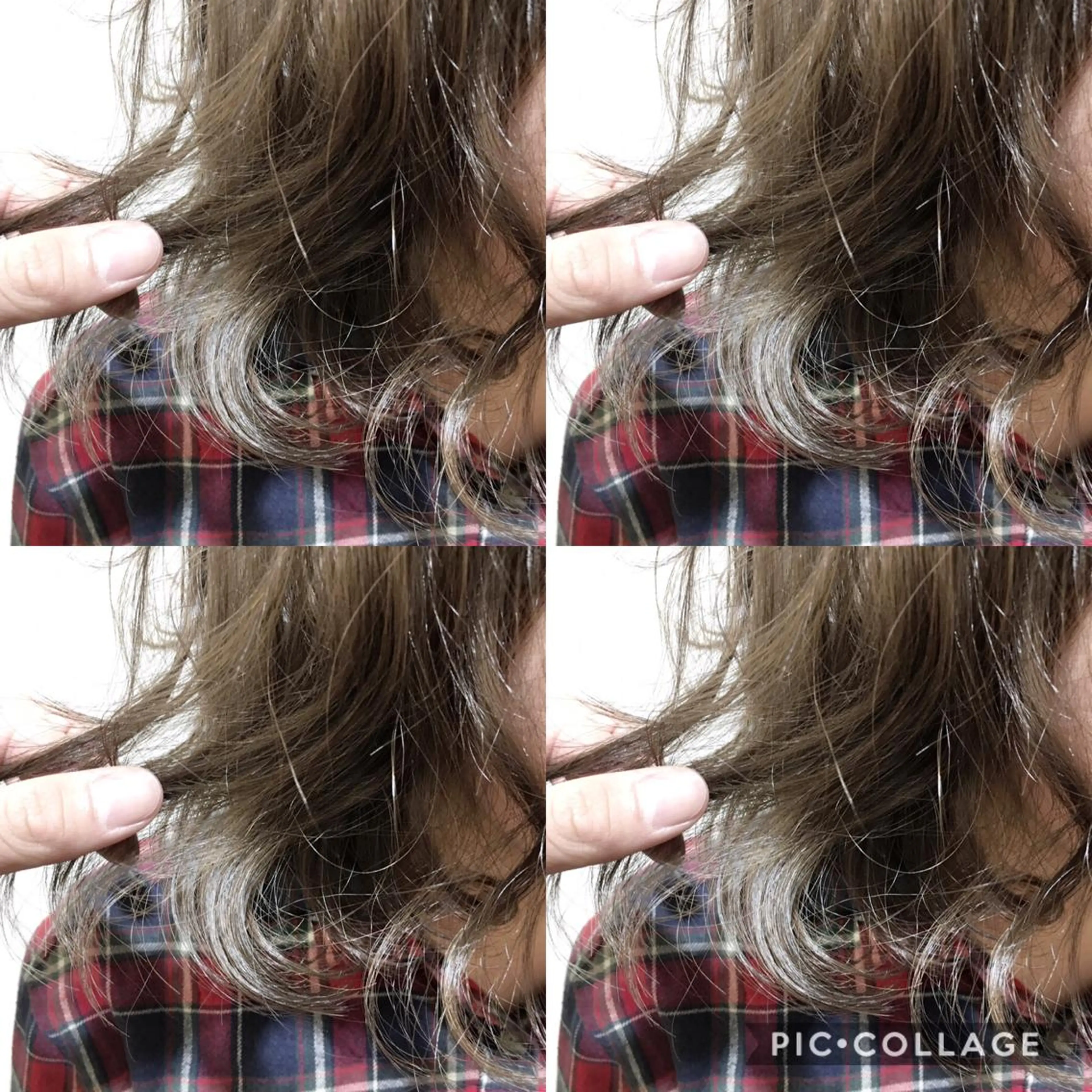 ショート カラー 透明感カラー グレージュ ハイライトカラー 3Dハイライト ハイライト 海外風レイヤーカット 👑店長　平松　由のヘアスタイル