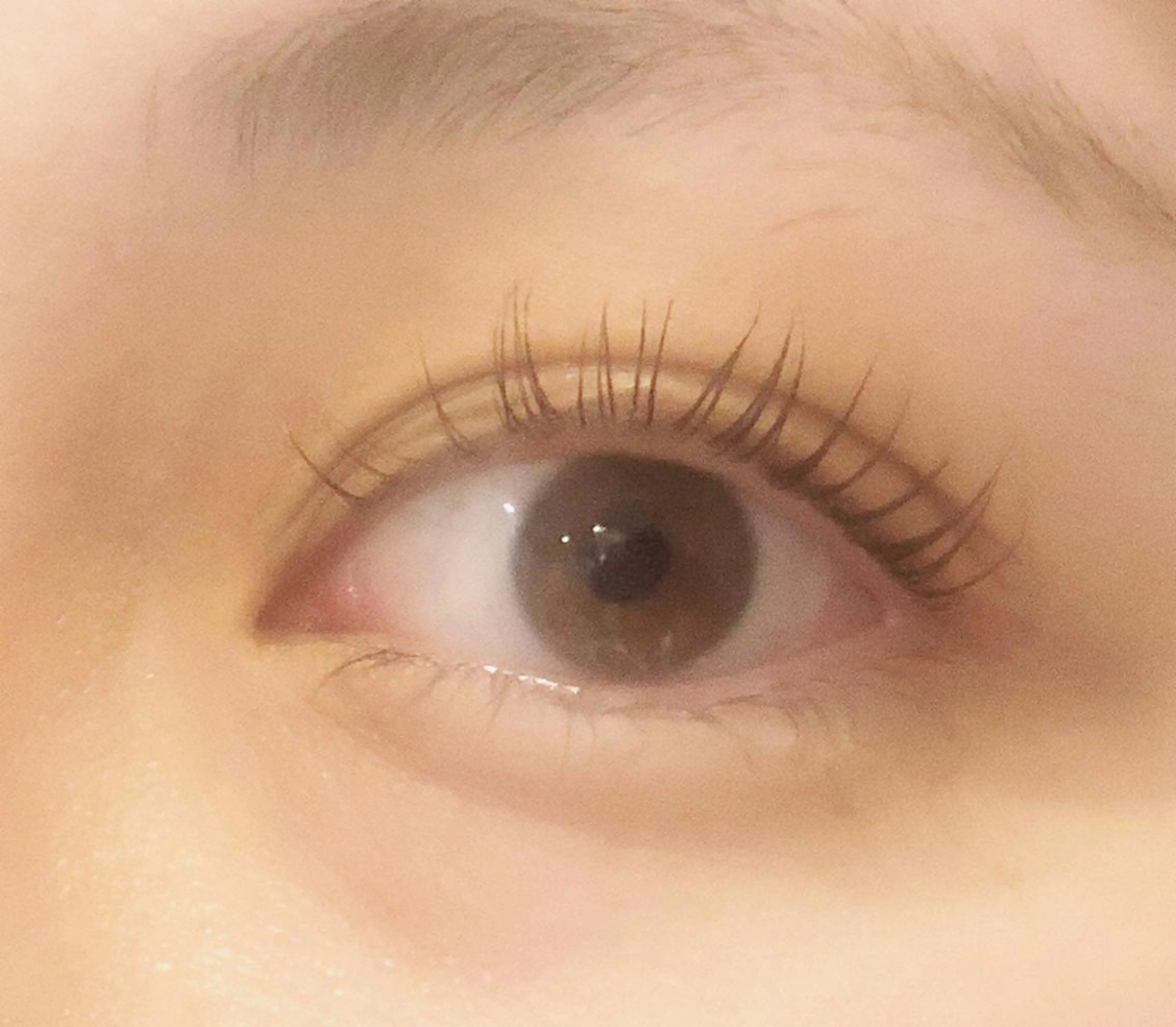 特別価格‼️パリジェンヌラッシュリフト3980円💕コーティング付き✨の写真