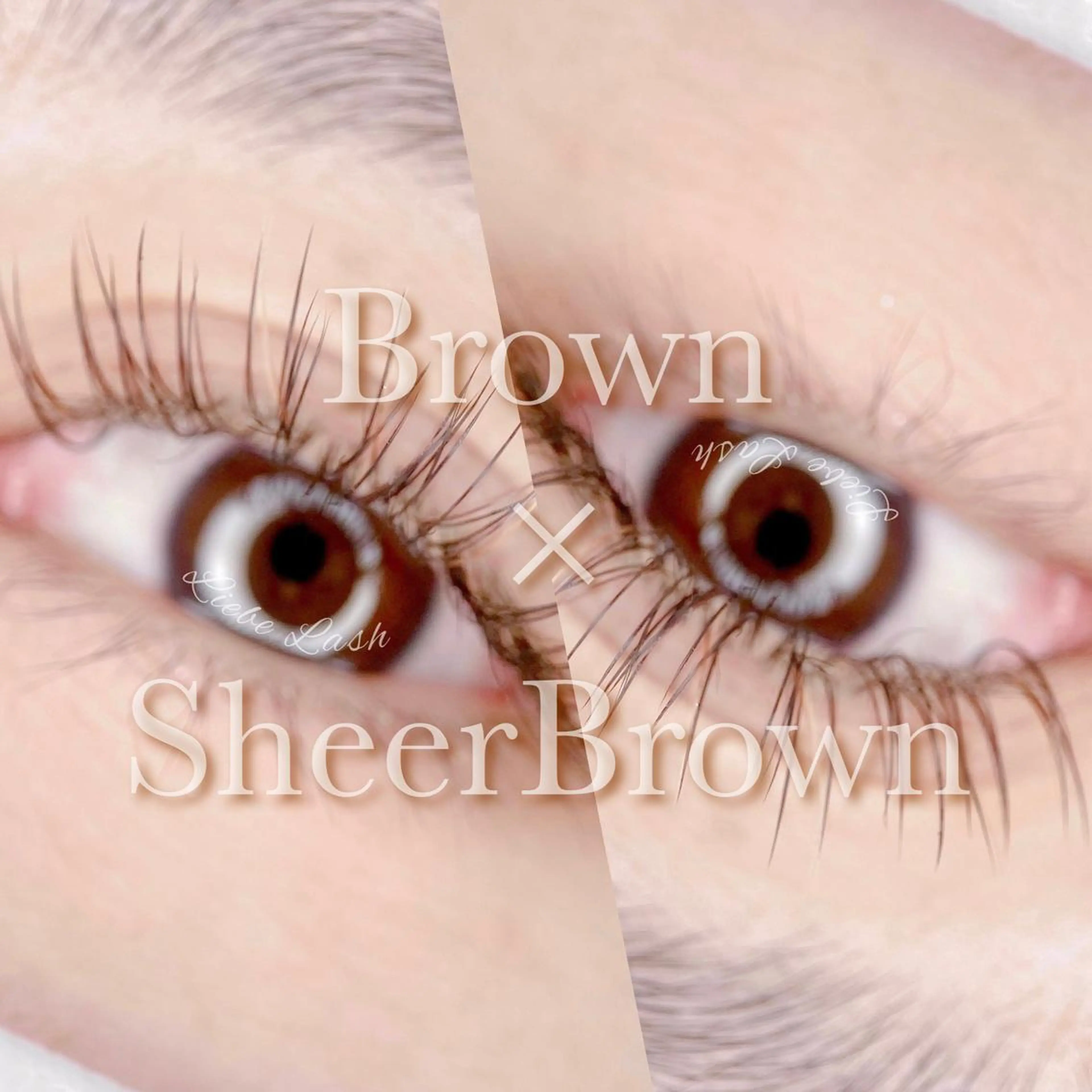 マツエク・マツパ マツエク Liebe Lash 𝐀𝐢💎のマツエク・マツパデザイン