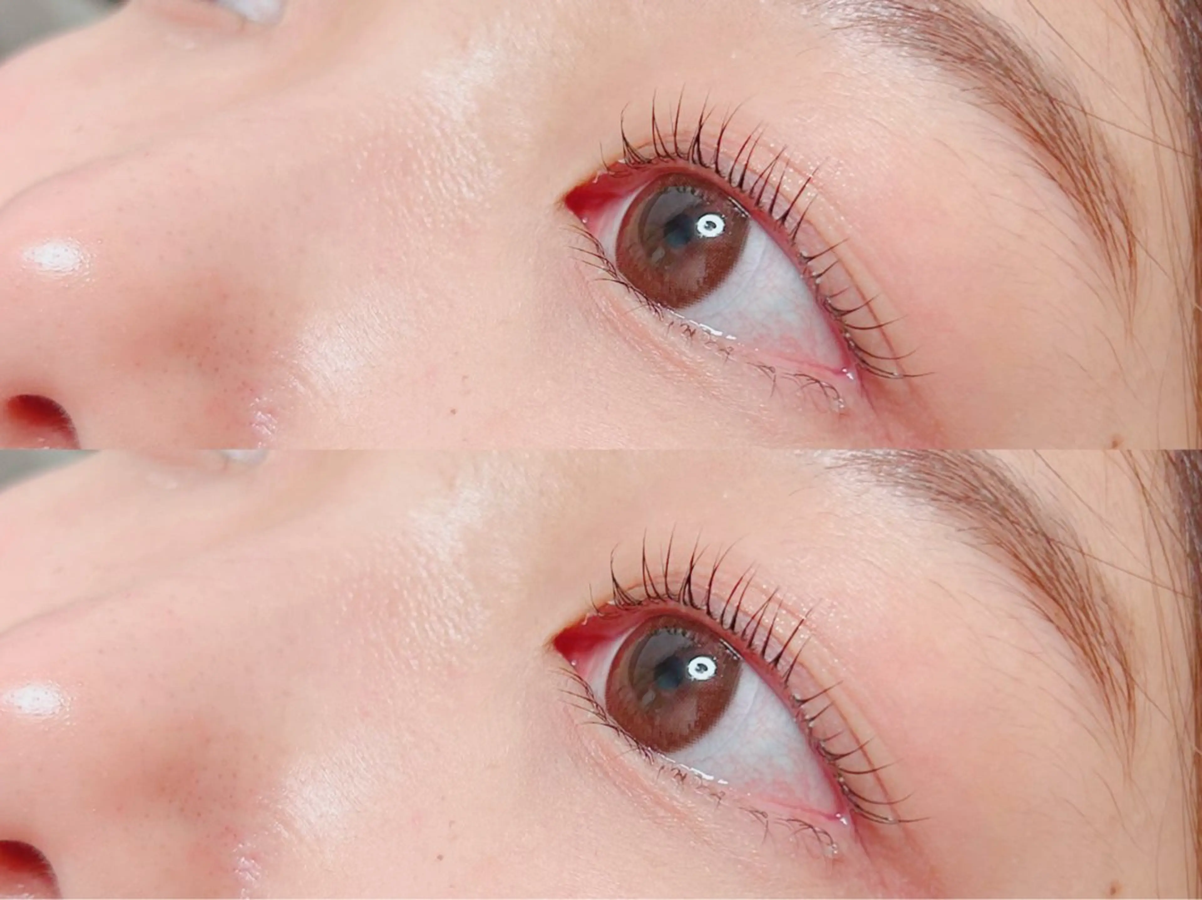 【うる艶◎】上下セット/ラッシュリフトorまつ毛パーマ/ブラックティントの写真