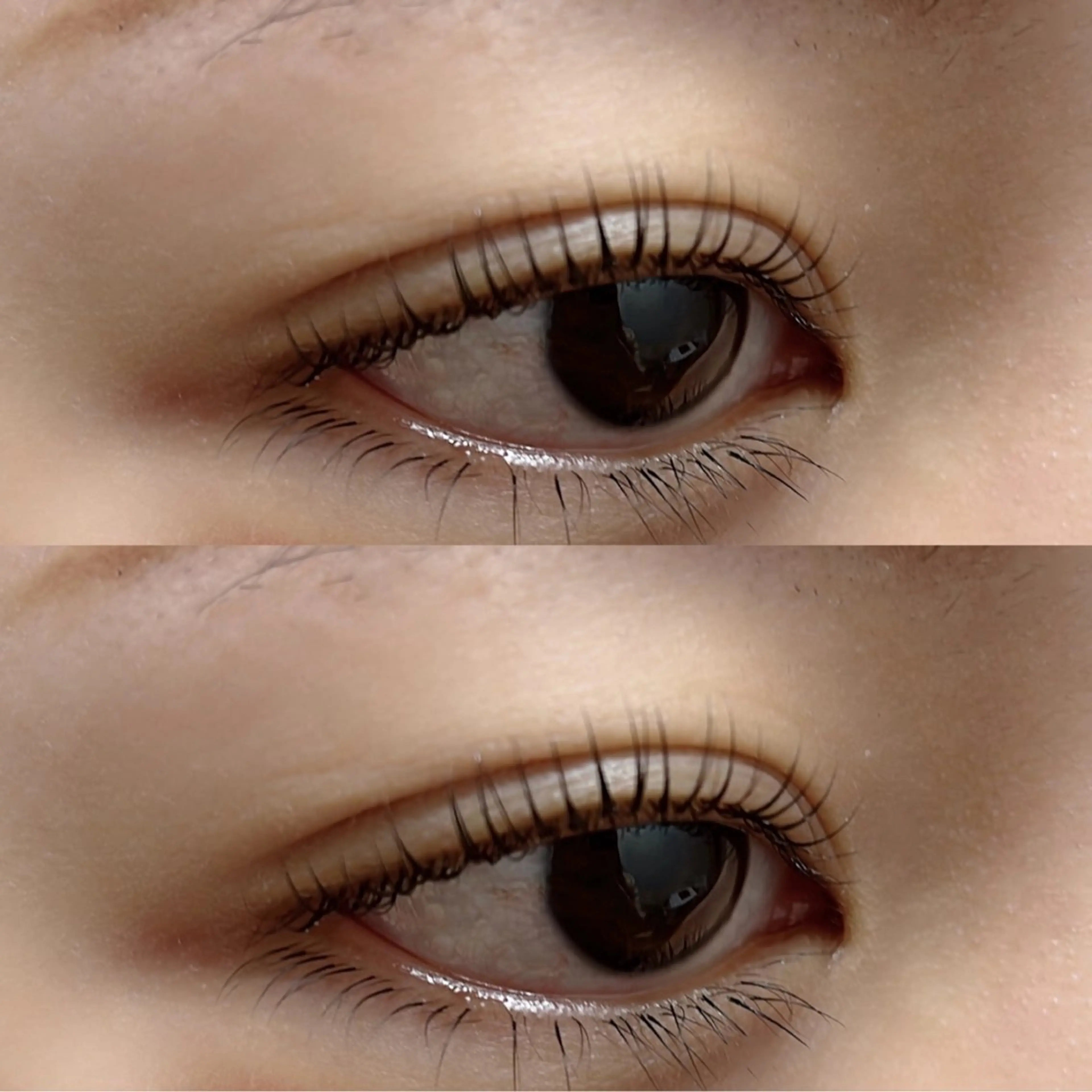 ❤️🔥パリジェンヌラッシュリフトorまつ毛パーマ+下マツエク(アイシャンプー付き)の写真