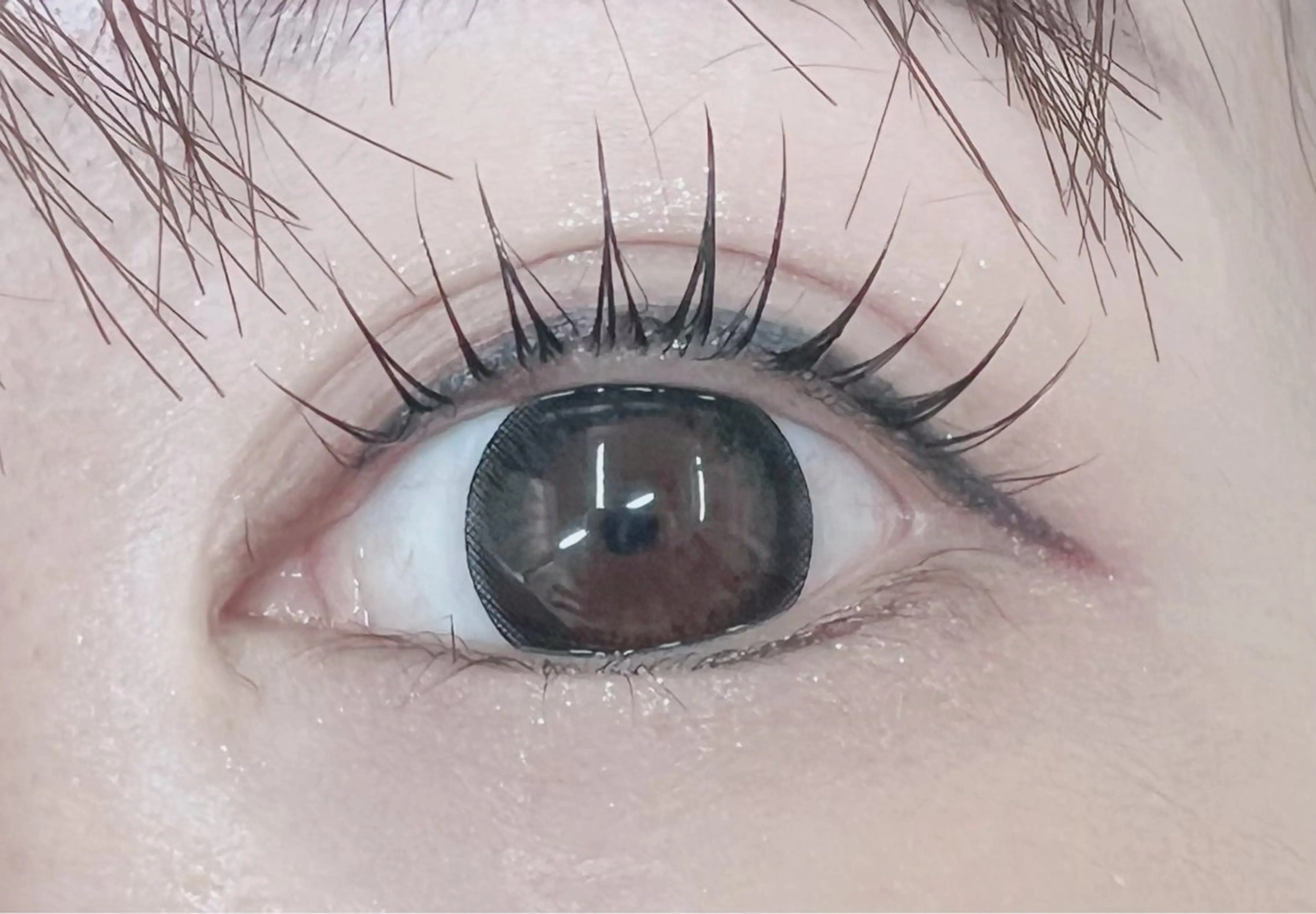 🇰🇷韓国発マスカラパーマ🇰🇷✨️まつ毛パーマ/パリジェンヌ✨️ブラックティント✨️限定価格の写真